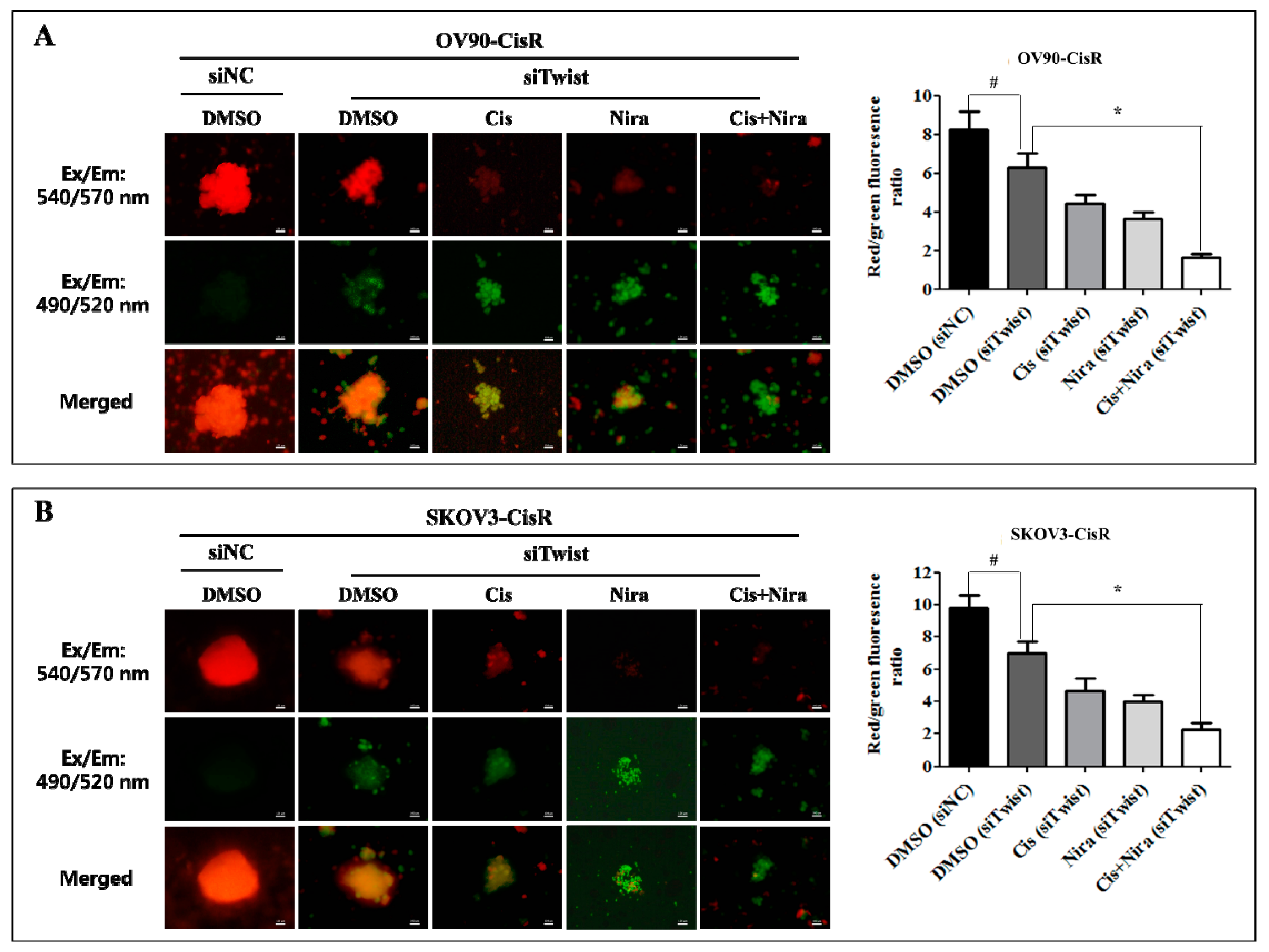 Ijms 22 03916 g008 Ijms 22 03916 g008