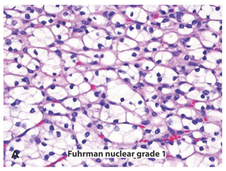 Ijms 22 03918 i001 Ijms 22 03918 i001