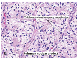 Ijms 22 03918 i002 Ijms 22 03918 i002