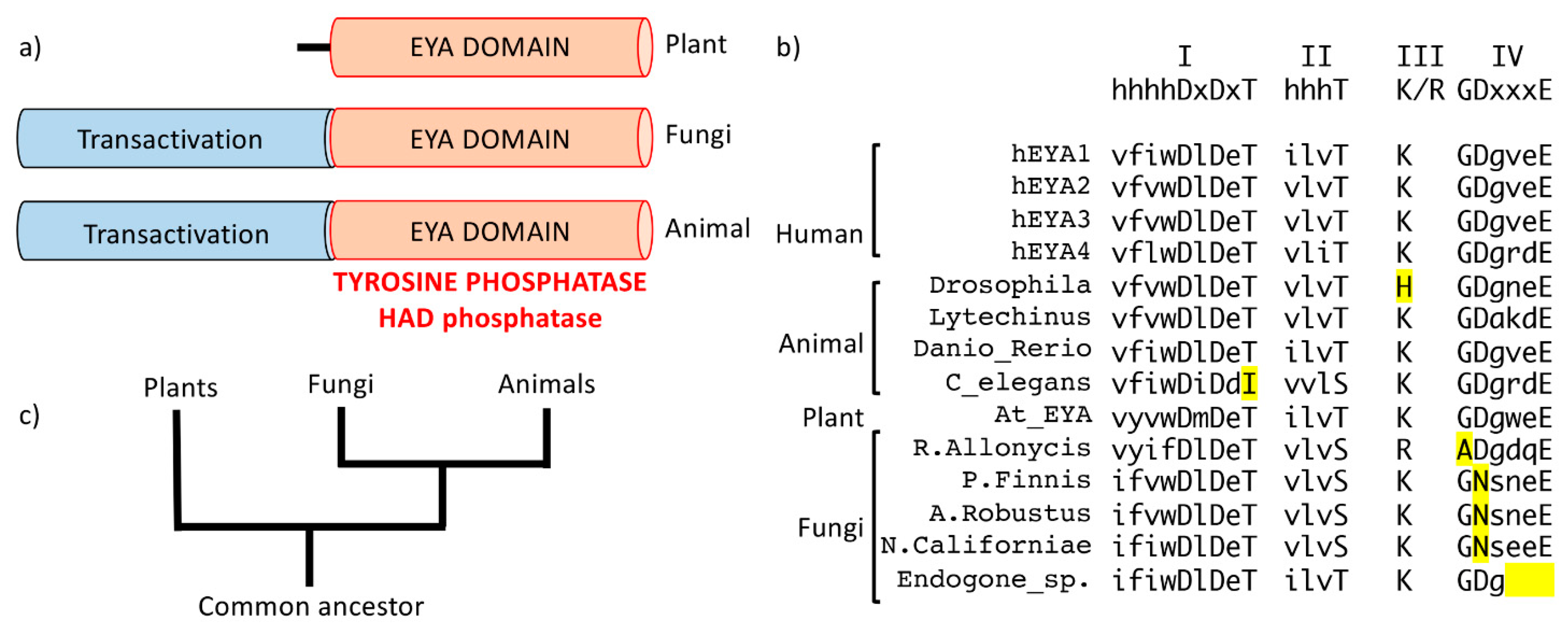 Ijms 22 03925 g002 Ijms 22 03925 g002