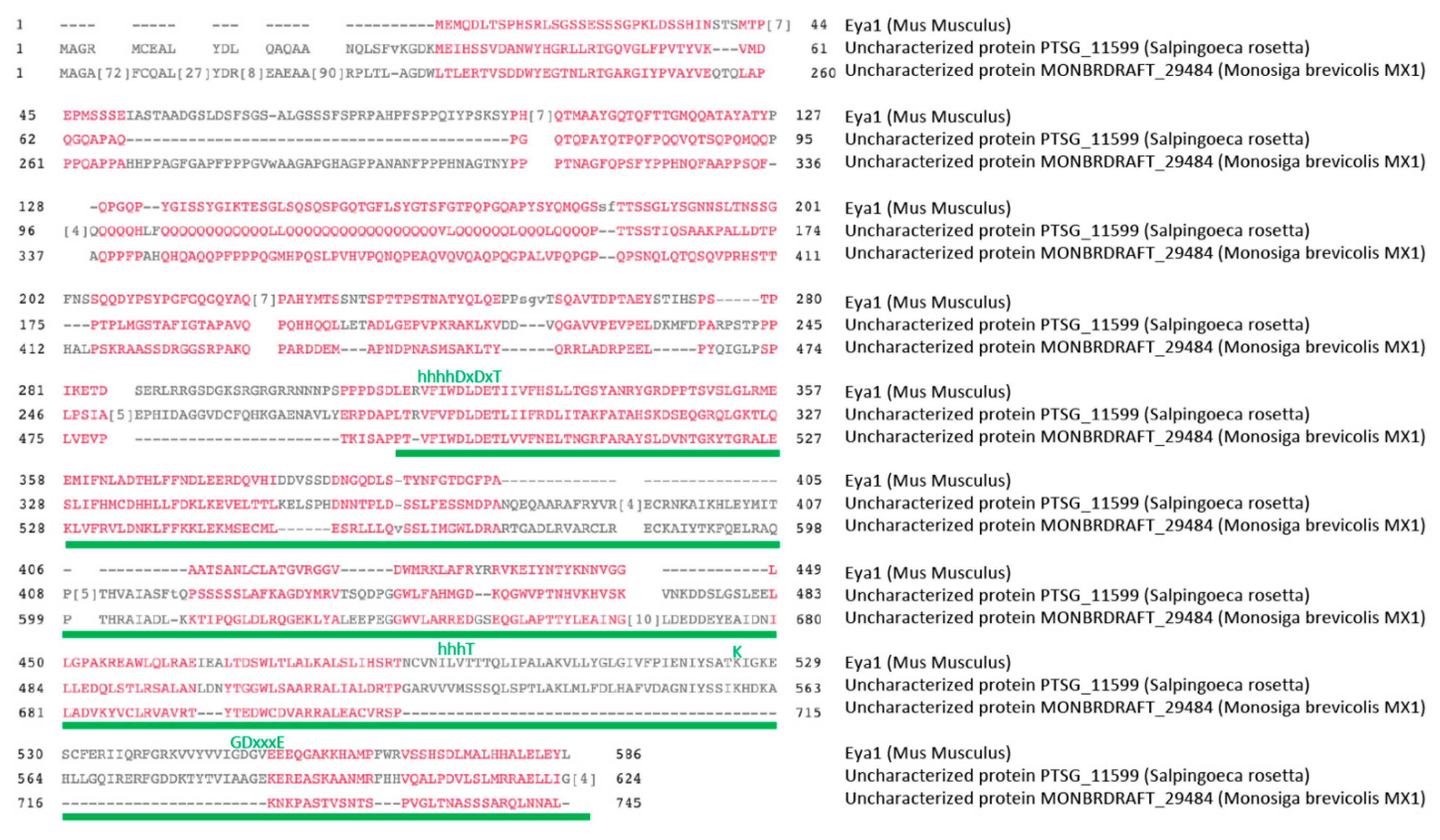 Ijms 22 03925 g005 Ijms 22 03925 g005