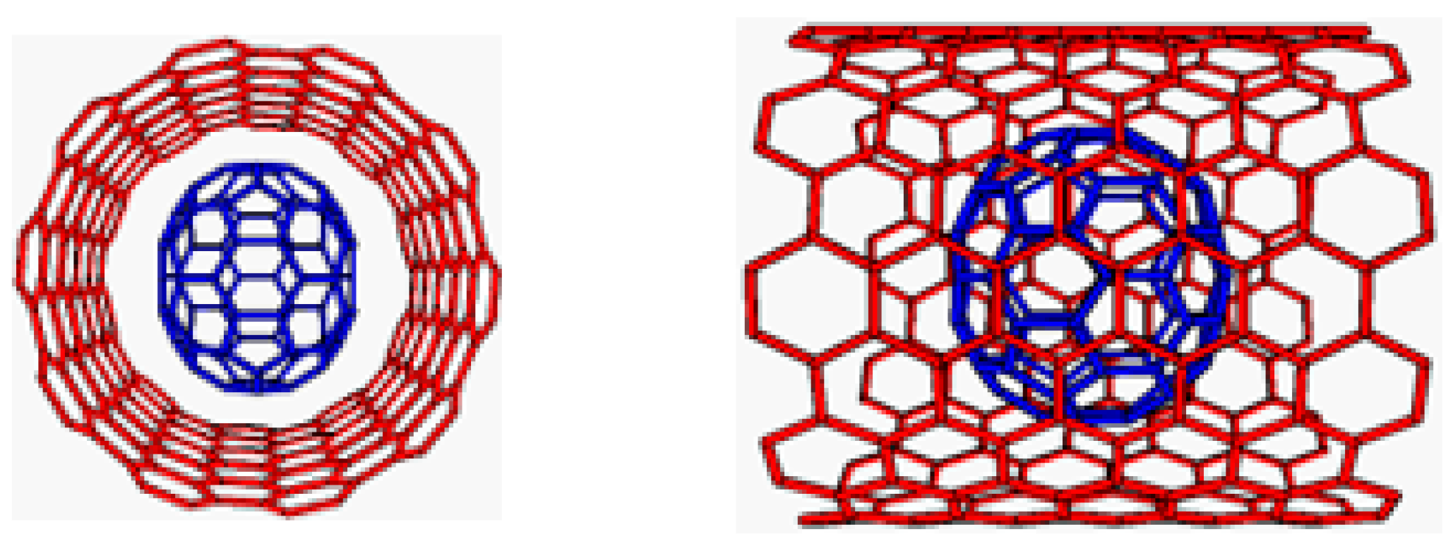 Ijms 22 03929 g002 Ijms 22 03929 g002