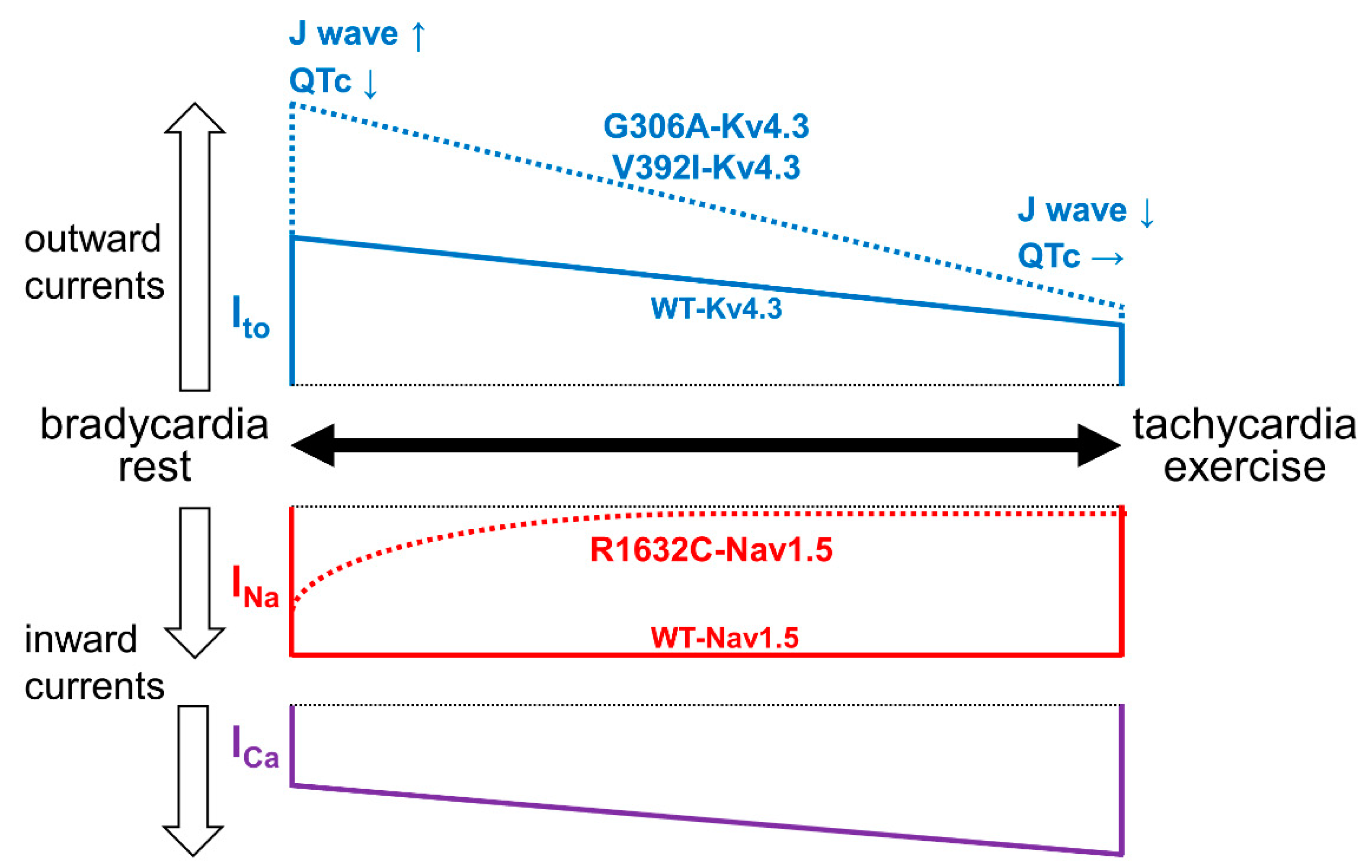 Ijms 22 03930 g002 Ijms 22 03930 g002