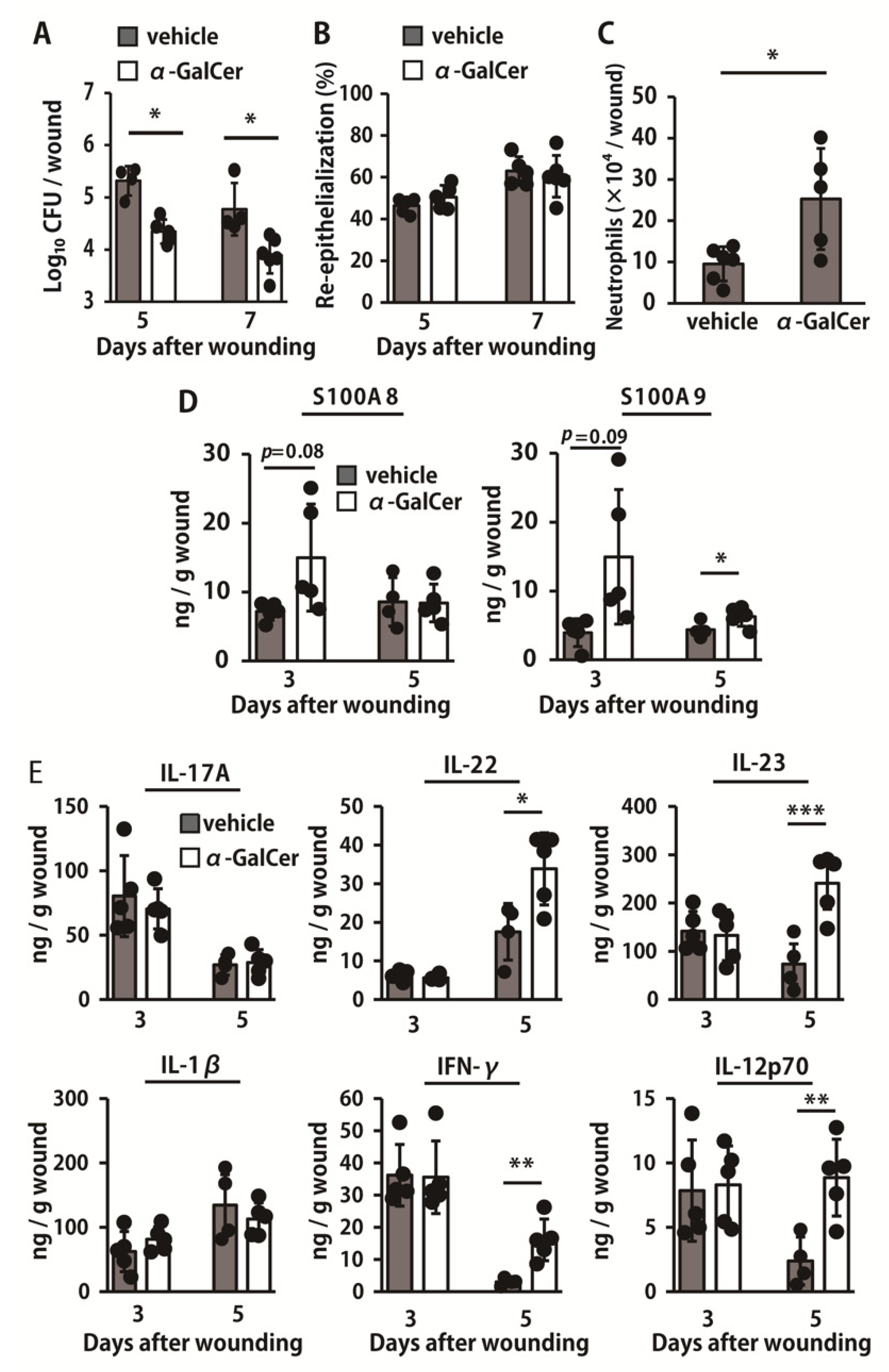 Ijms 22 03931 g005 Ijms 22 03931 g005