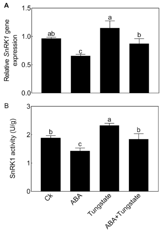 Ijms 22 03932 g008 Ijms 22 03932 g008