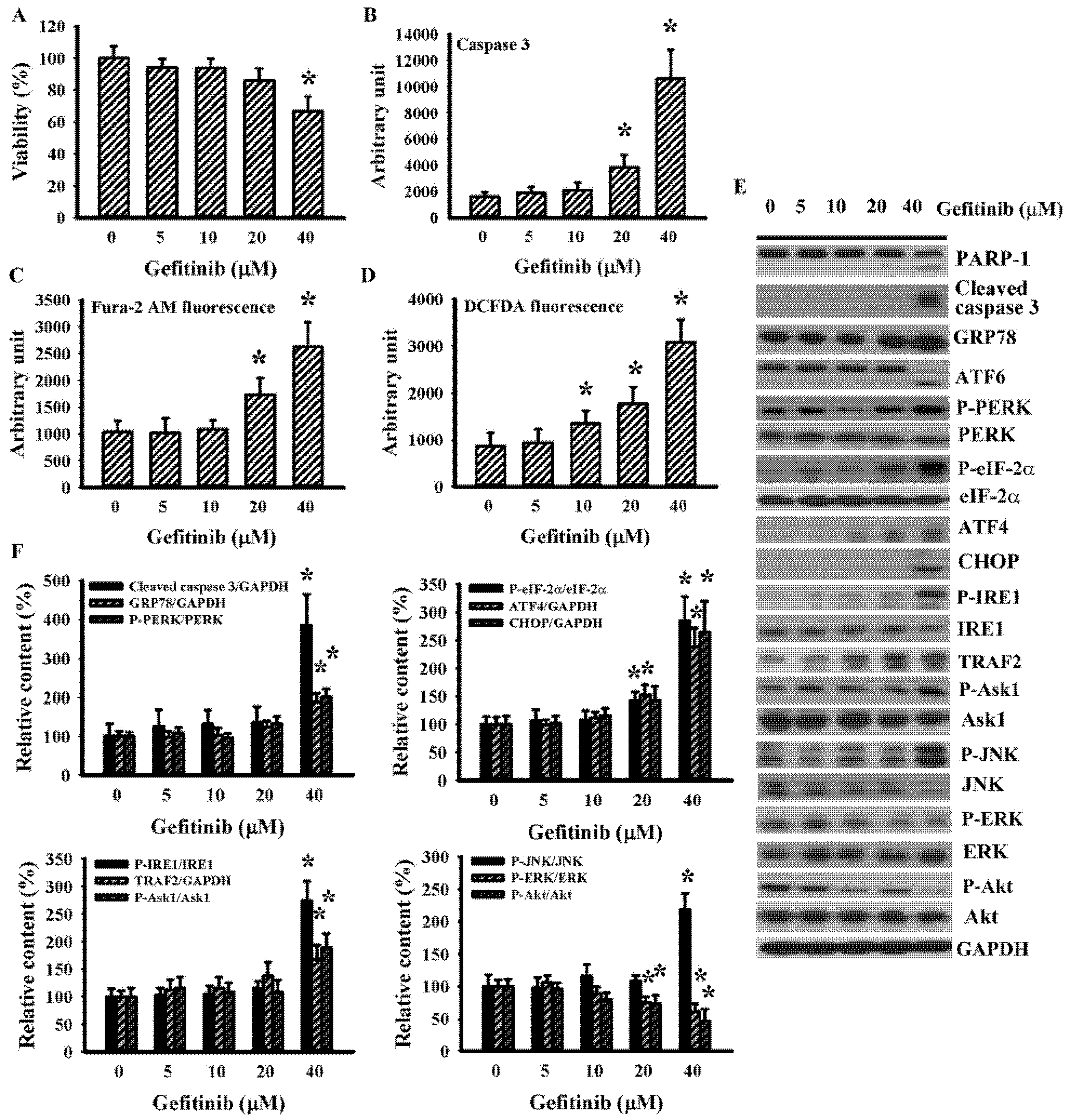 Ijms 22 03934 g001 Ijms 22 03934 g001