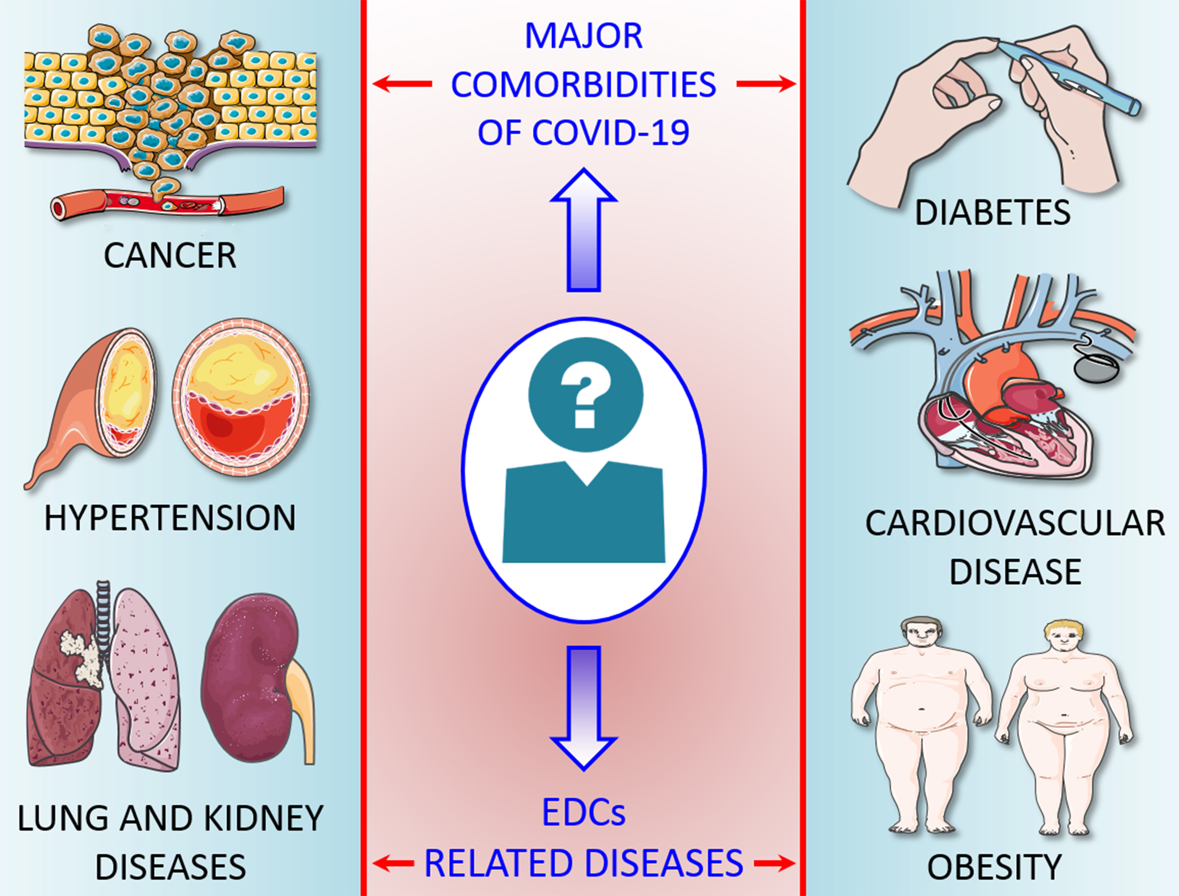 IJMS Free FullText EndocrineDisrupting Chemicals and Infectious