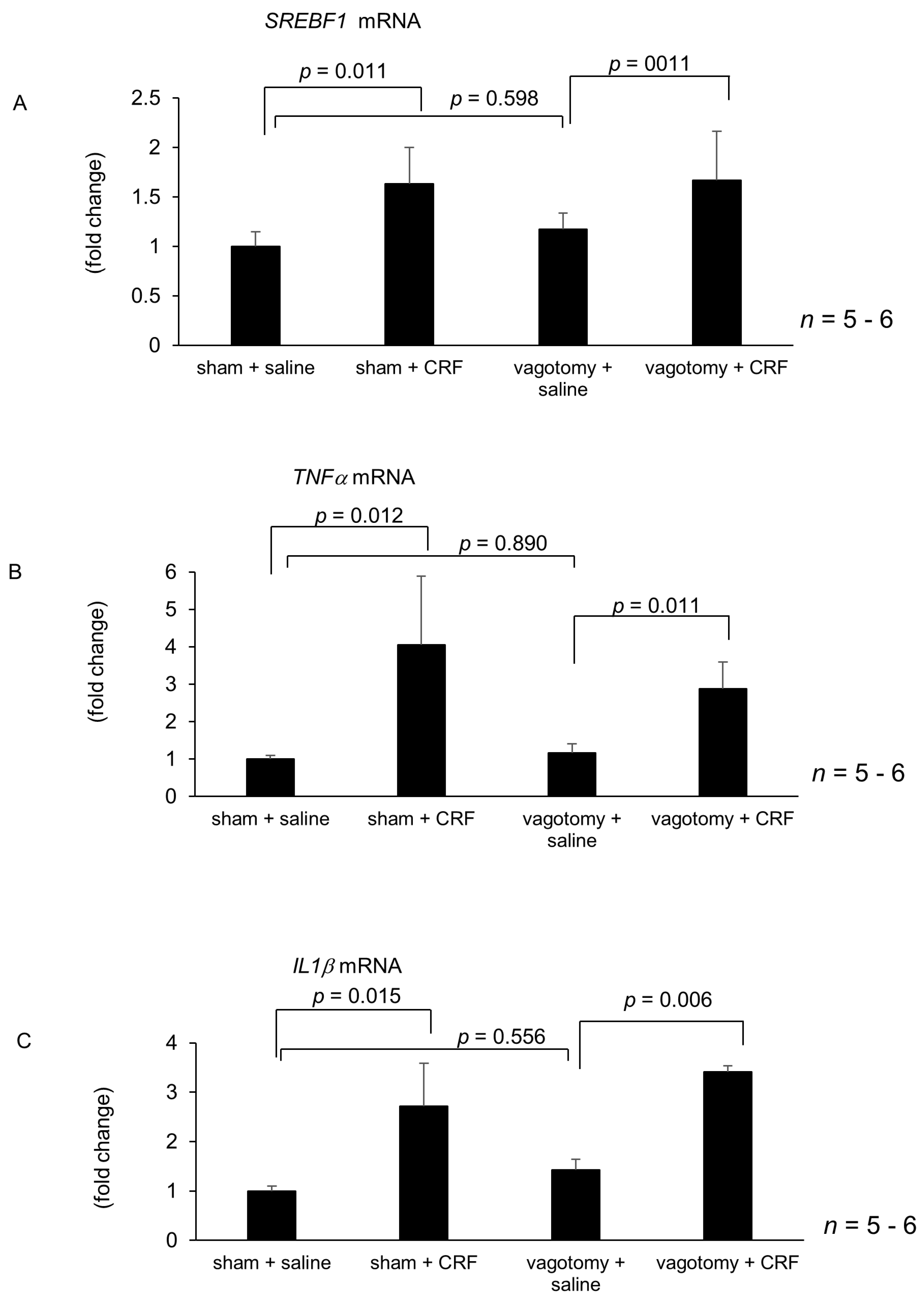 Ijms 22 03940 g005a Ijms 22 03940 g005a
