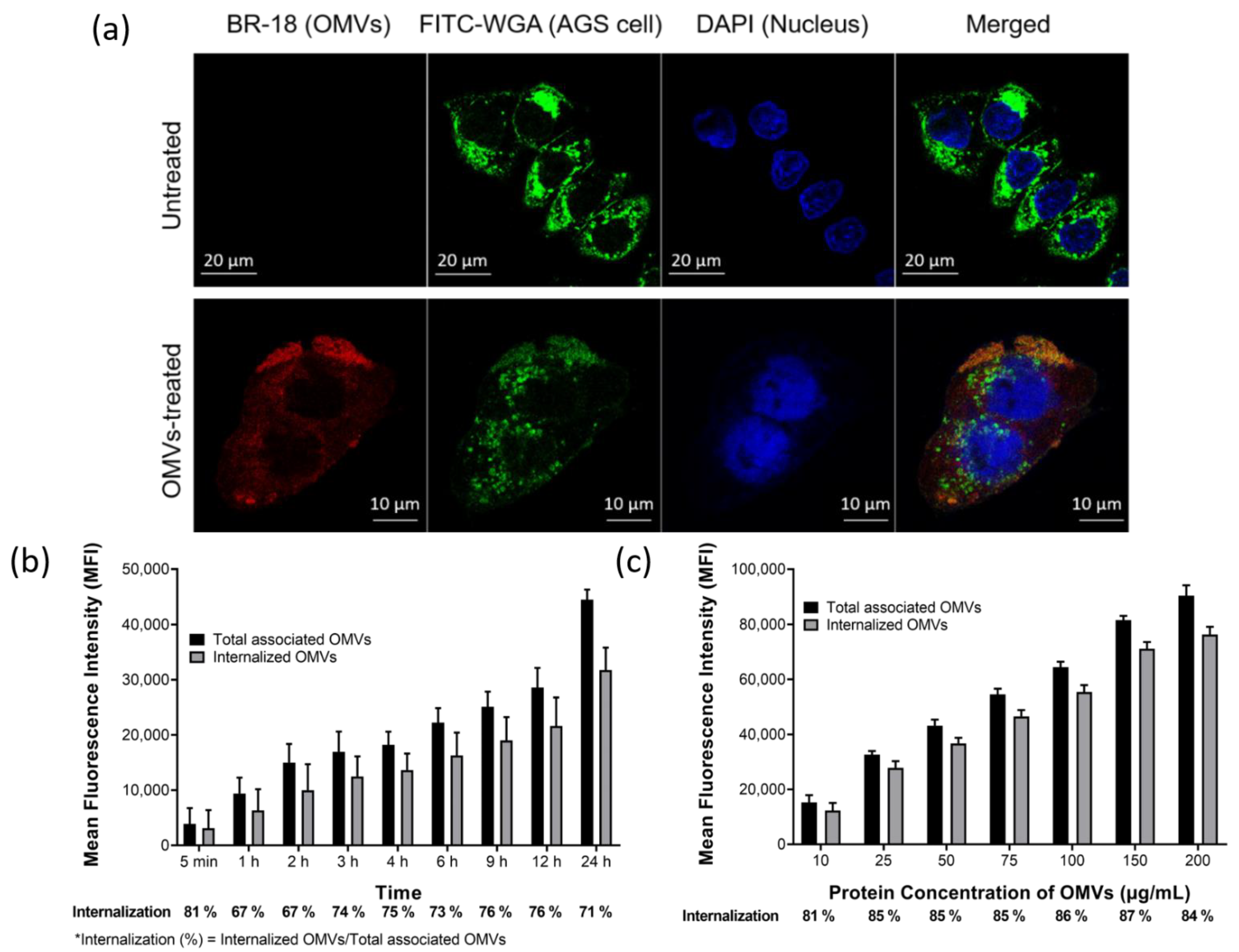Ijms 22 03942 g003 Ijms 22 03942 g003