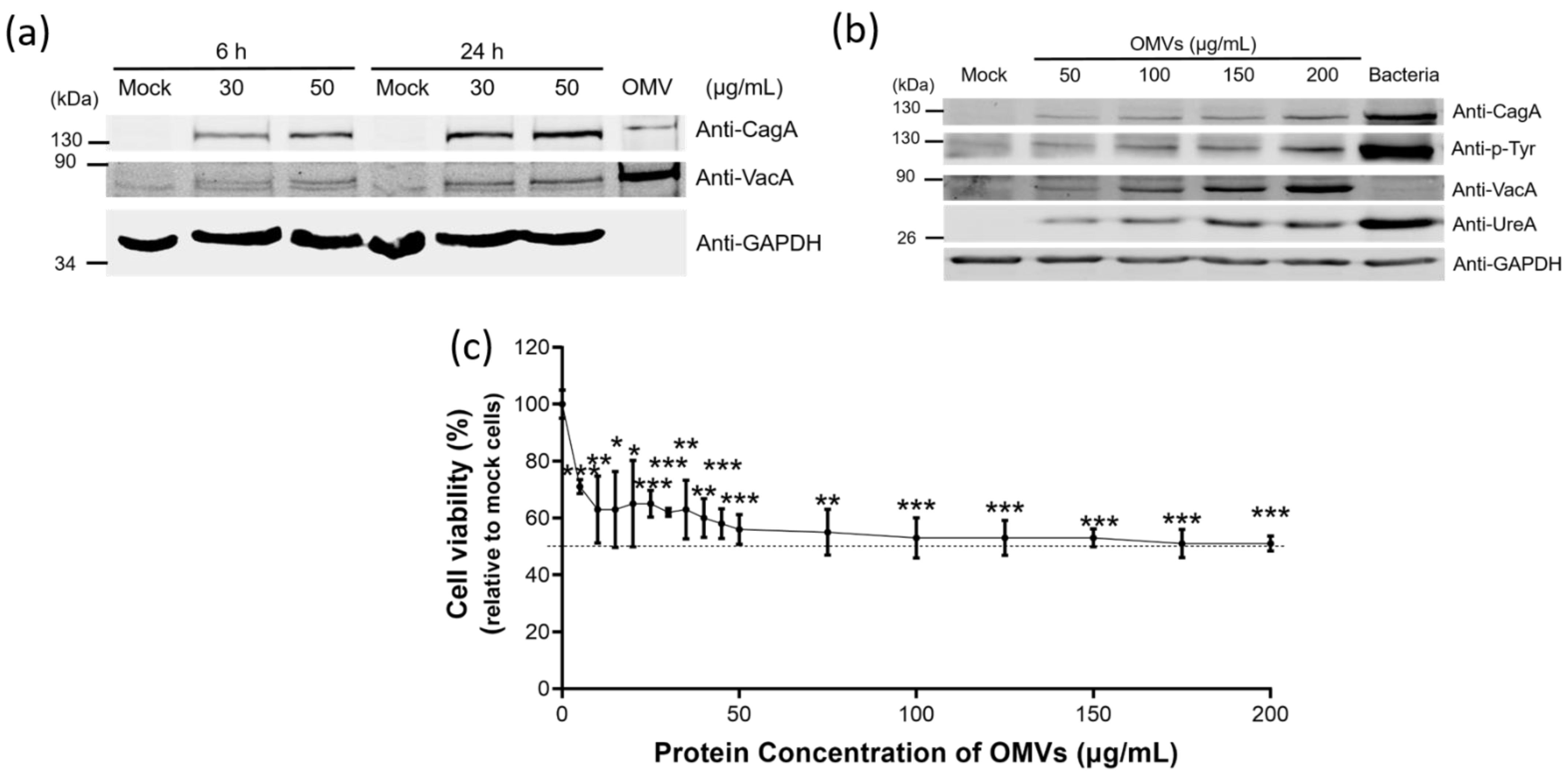 Ijms 22 03942 g005 Ijms 22 03942 g005