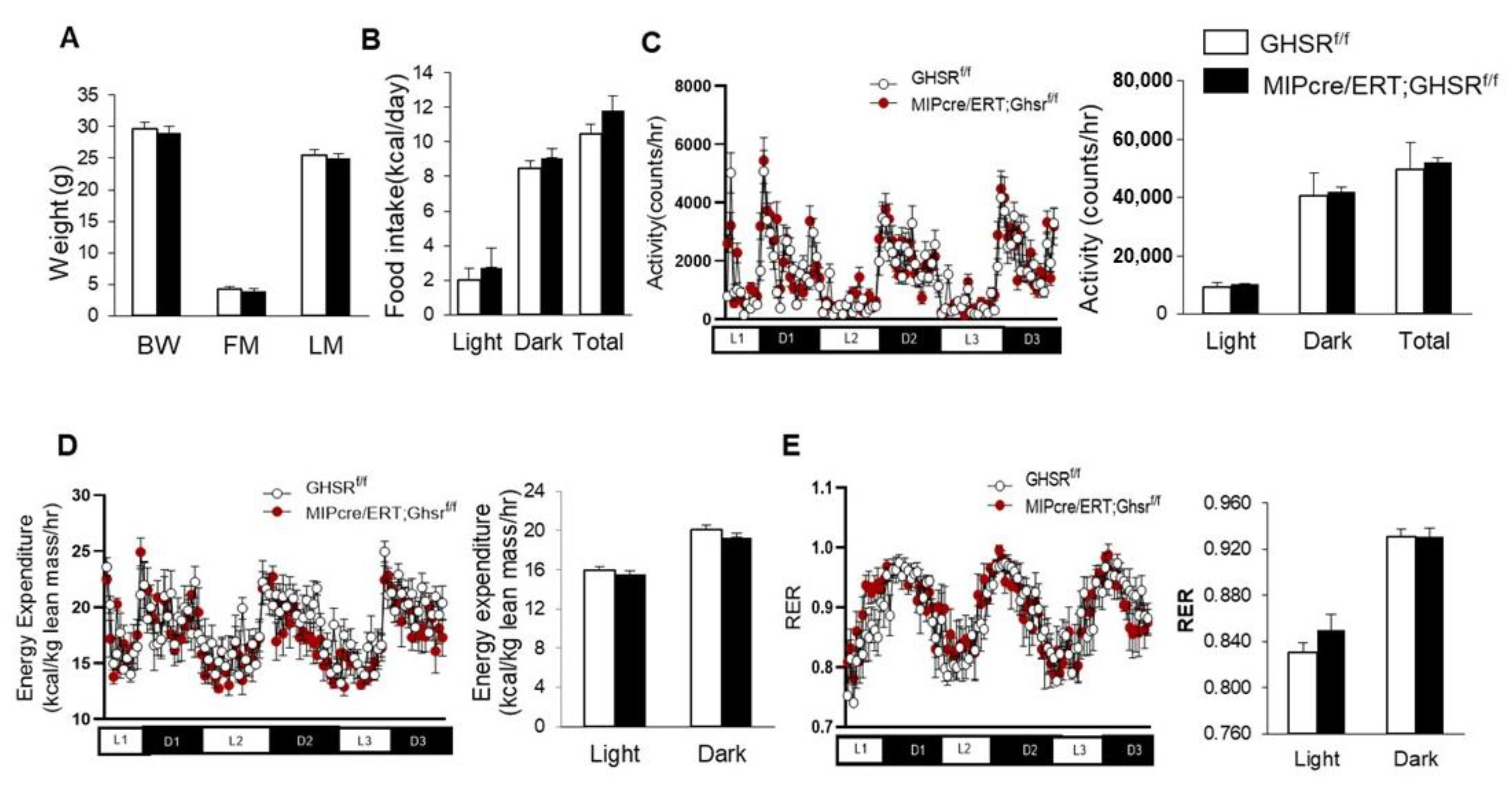 Ijms 22 03950 g003 Ijms 22 03950 g003