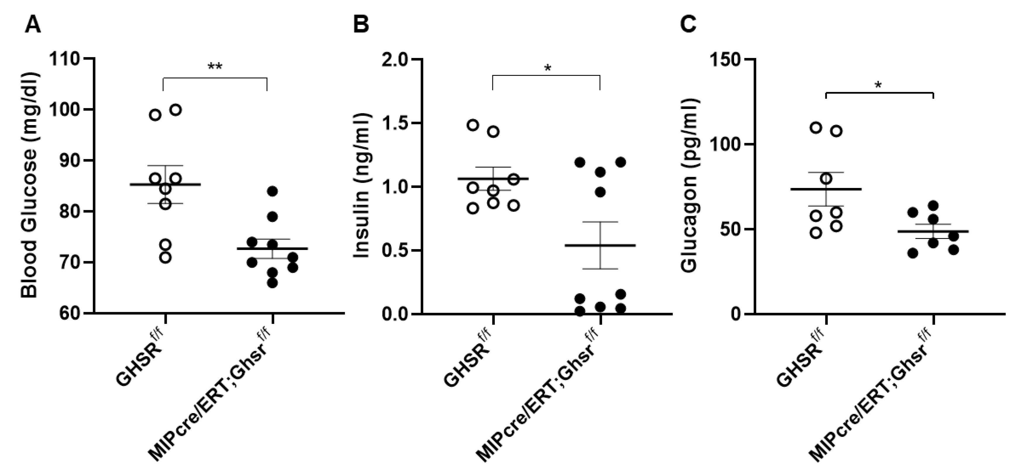Ijms 22 03950 g004 Ijms 22 03950 g004
