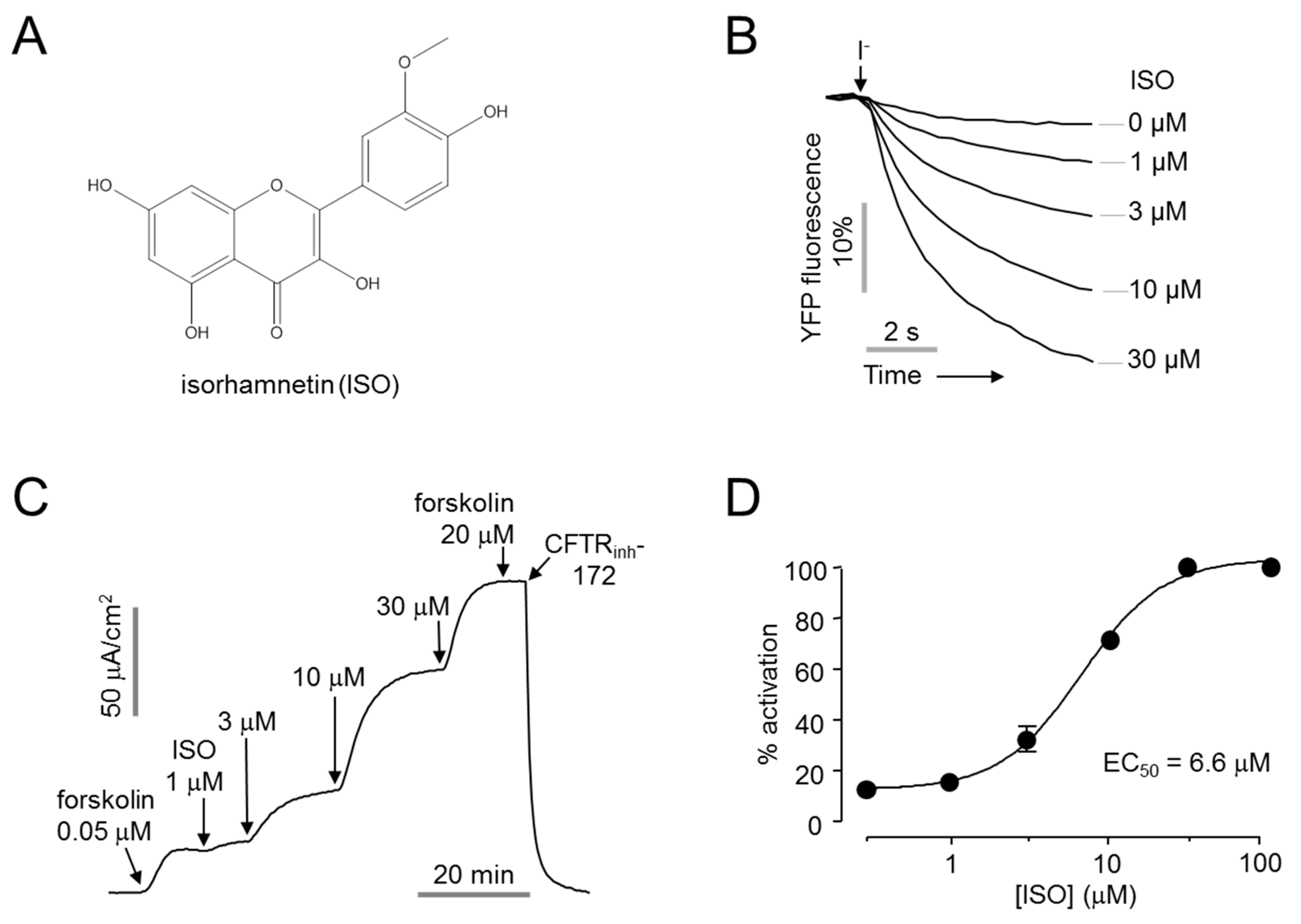 Ijms Free Full Text Isorhamnetin Ameliorates Dry Eye Disease Via Cftr Activation In Mice Html Ijms Free Full Text Isorhamnetin Ameliorates Dry Eye Disease Via Cftr Activation In Mice Html