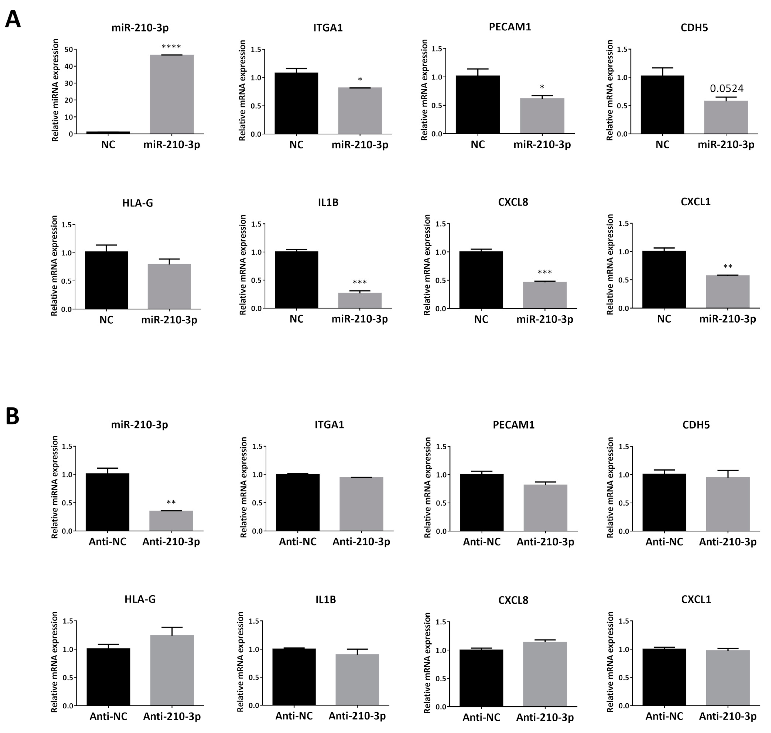 Ijms 22 03961 g004 Ijms 22 03961 g004