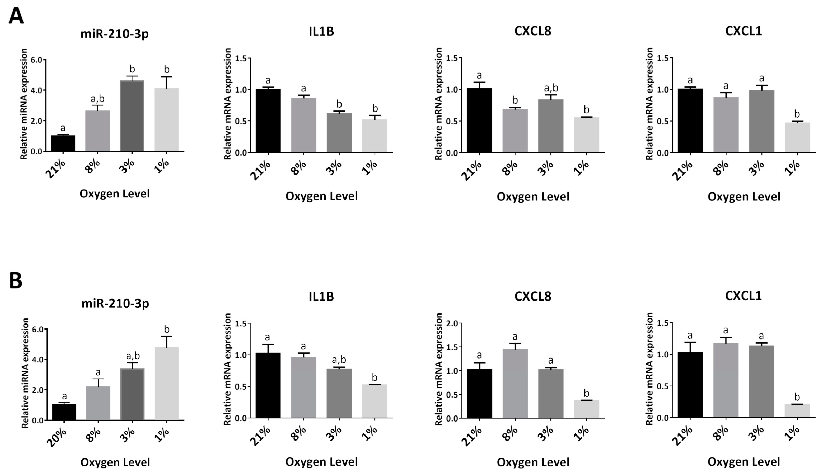 Ijms 22 03961 g005 Ijms 22 03961 g005