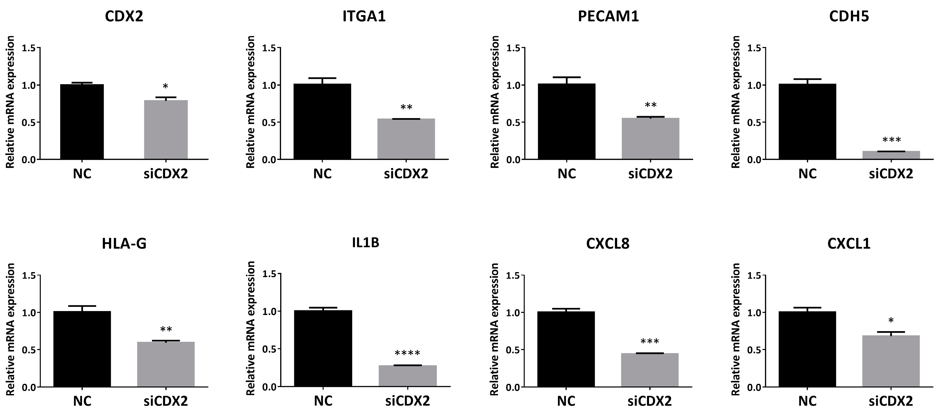 Ijms 22 03961 g009 Ijms 22 03961 g009