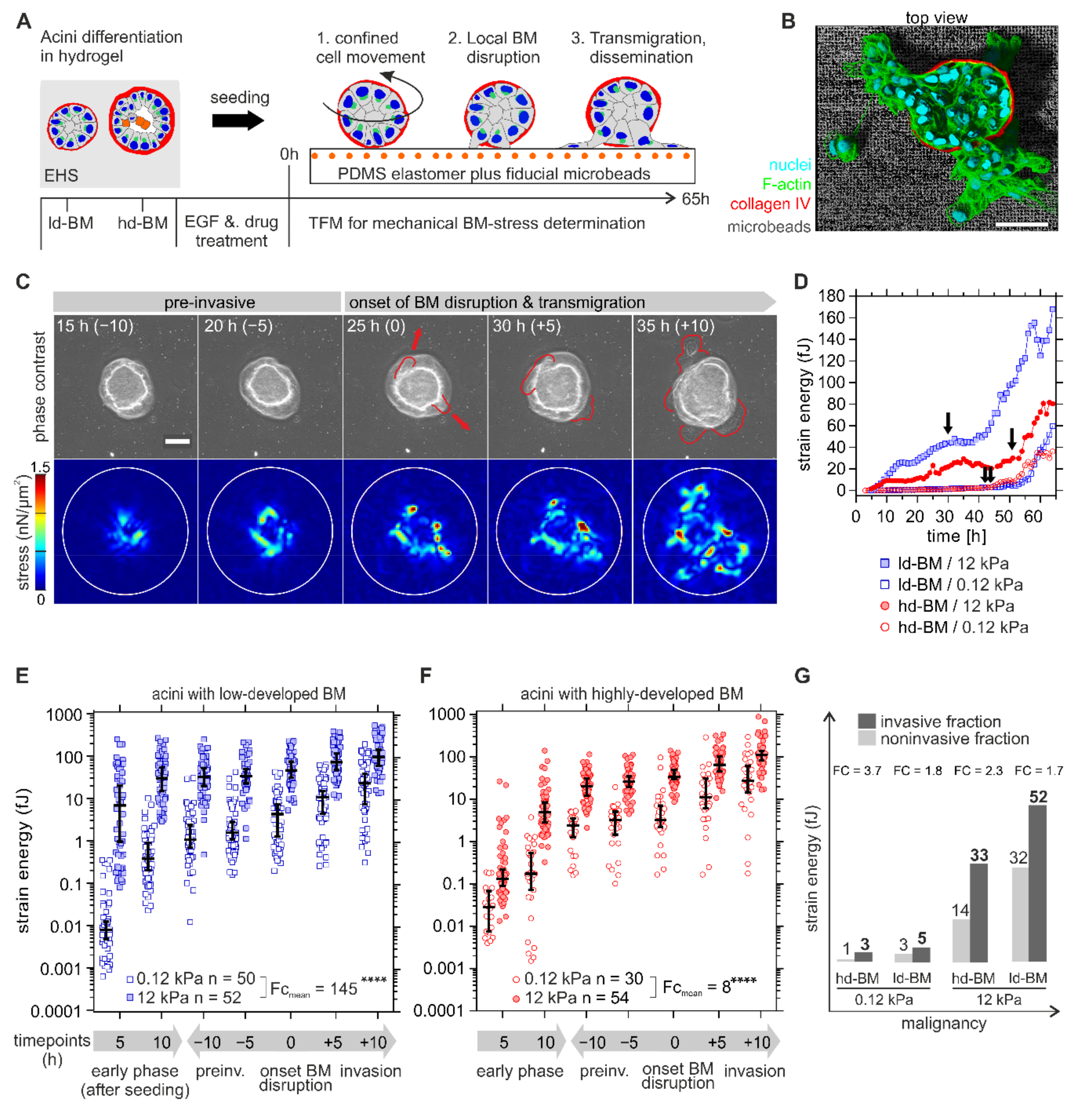 Ijms 22 03962 g002 Ijms 22 03962 g002