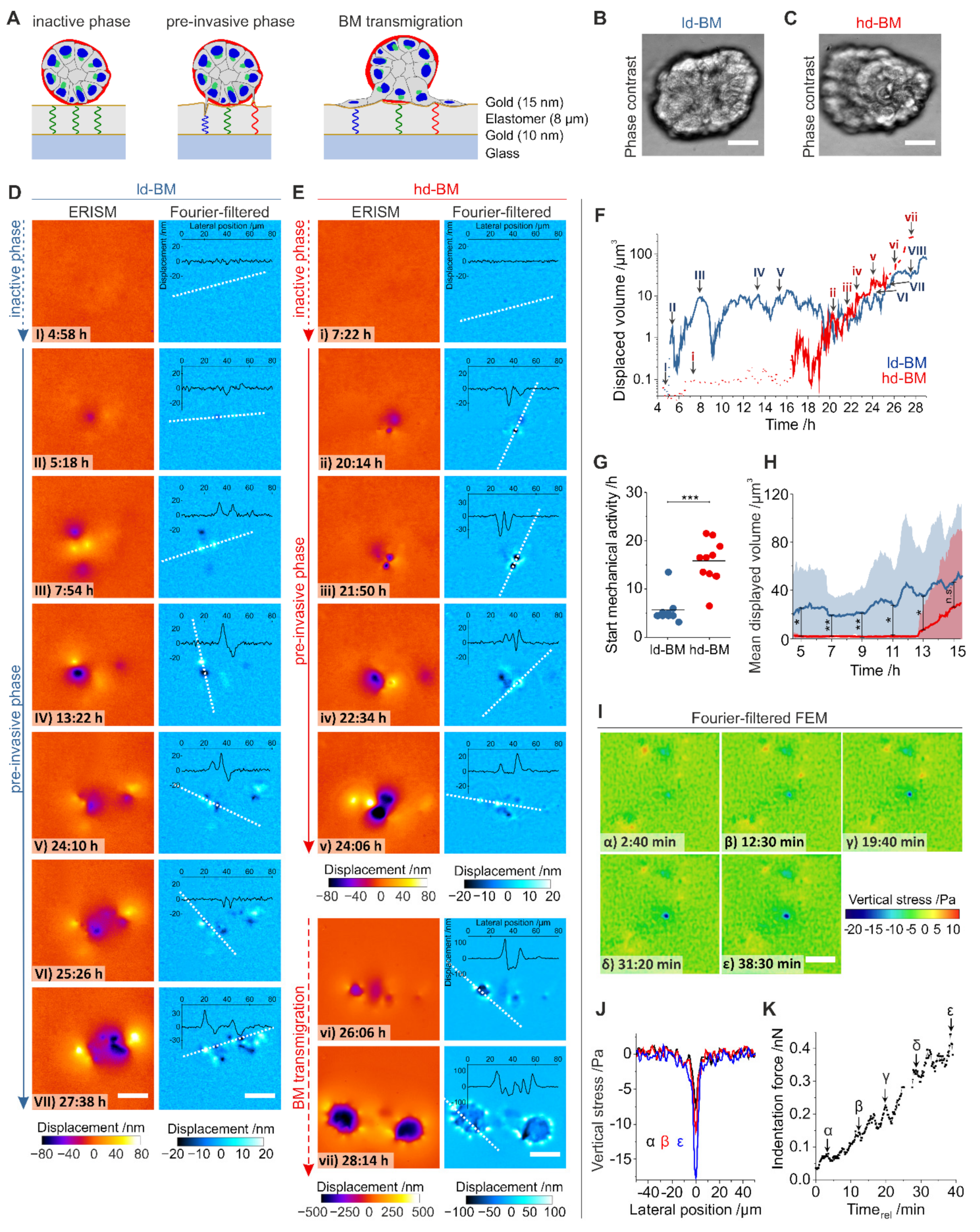 Ijms 22 03962 g004 Ijms 22 03962 g004
