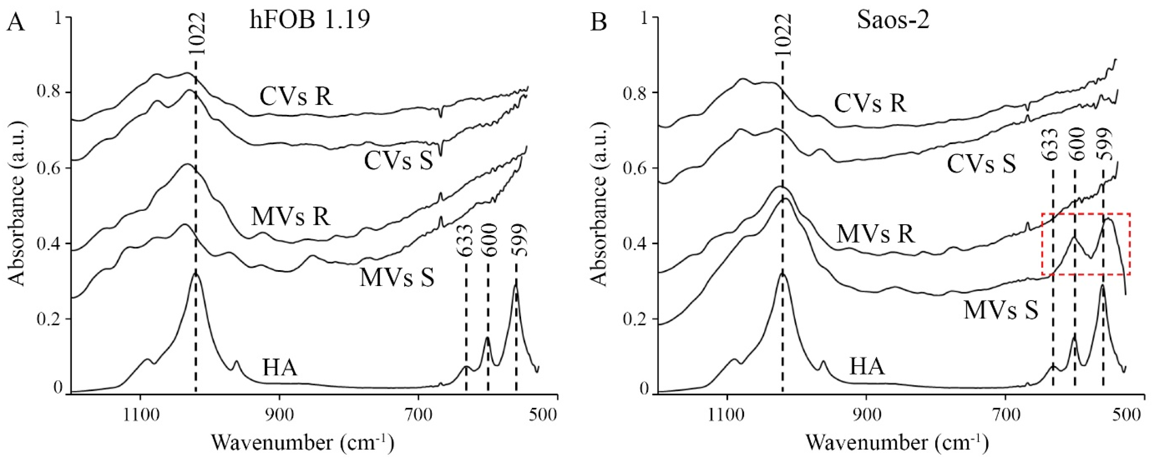 Ijms 22 03993 g003 Ijms 22 03993 g003