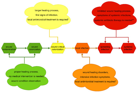 In Vitro Efficacy of Bacterial Cellulose Dressings