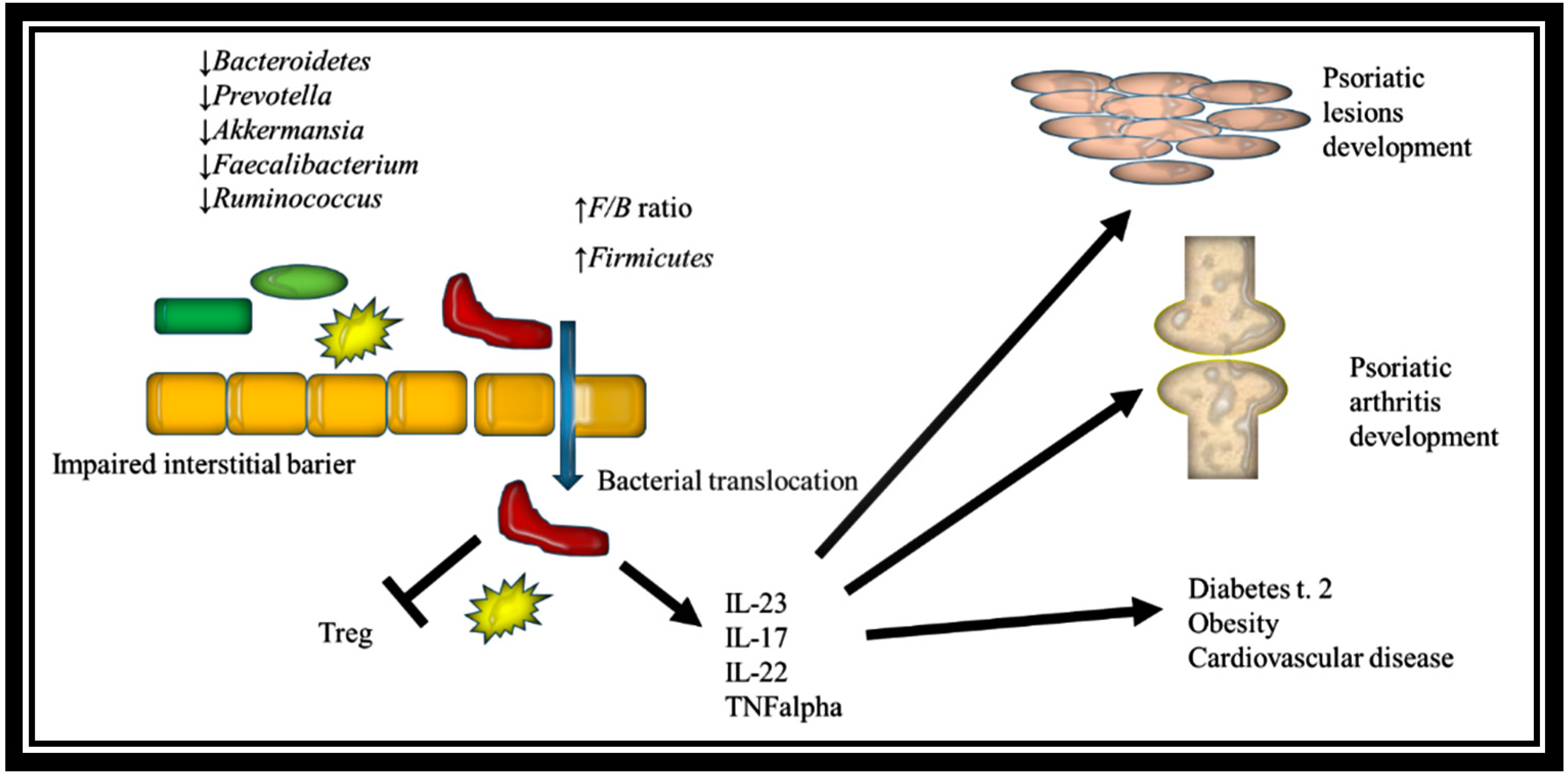 dysbiosis psoriasis