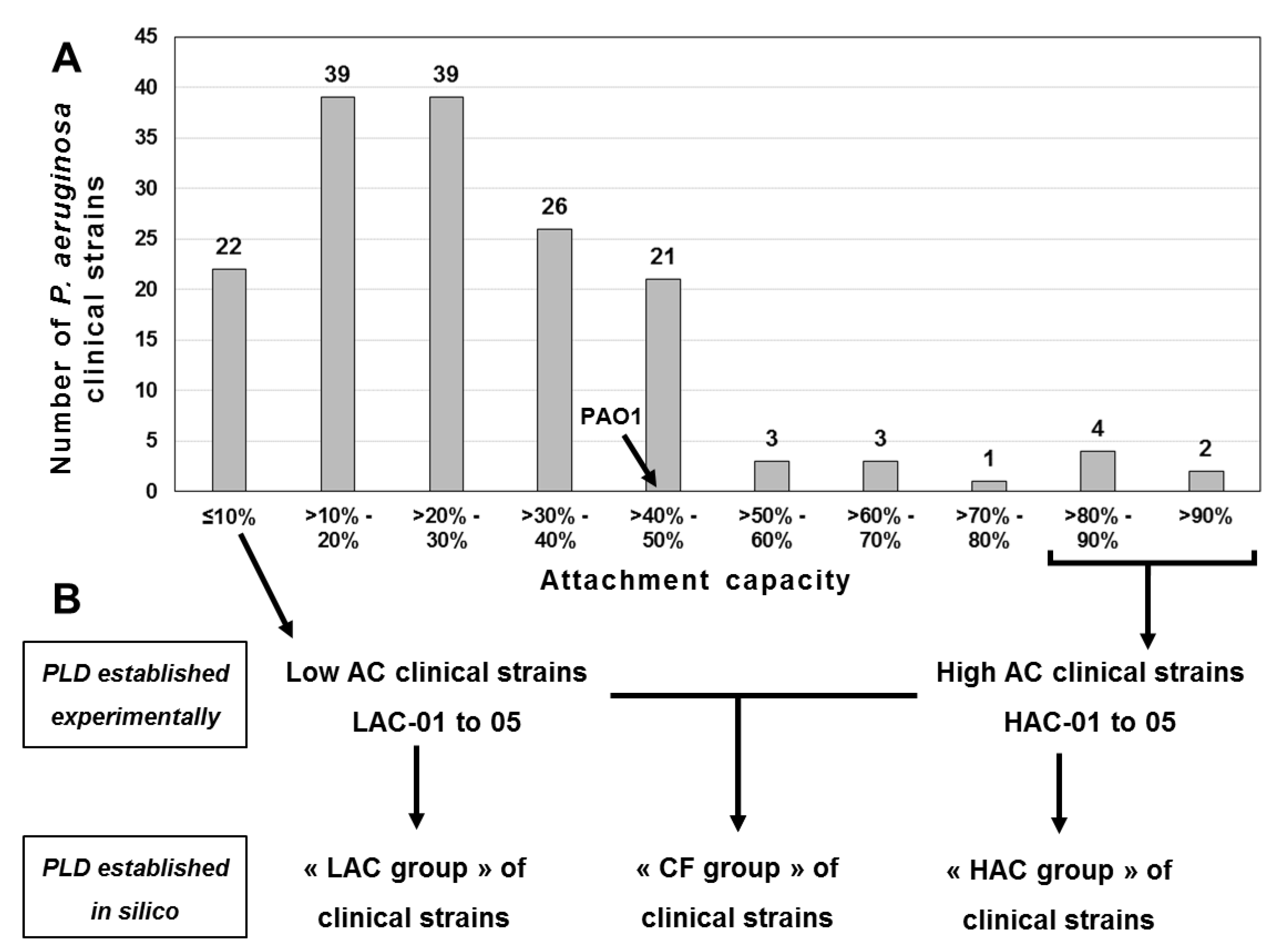 Ijms 22 04003 g001 Ijms 22 04003 g001