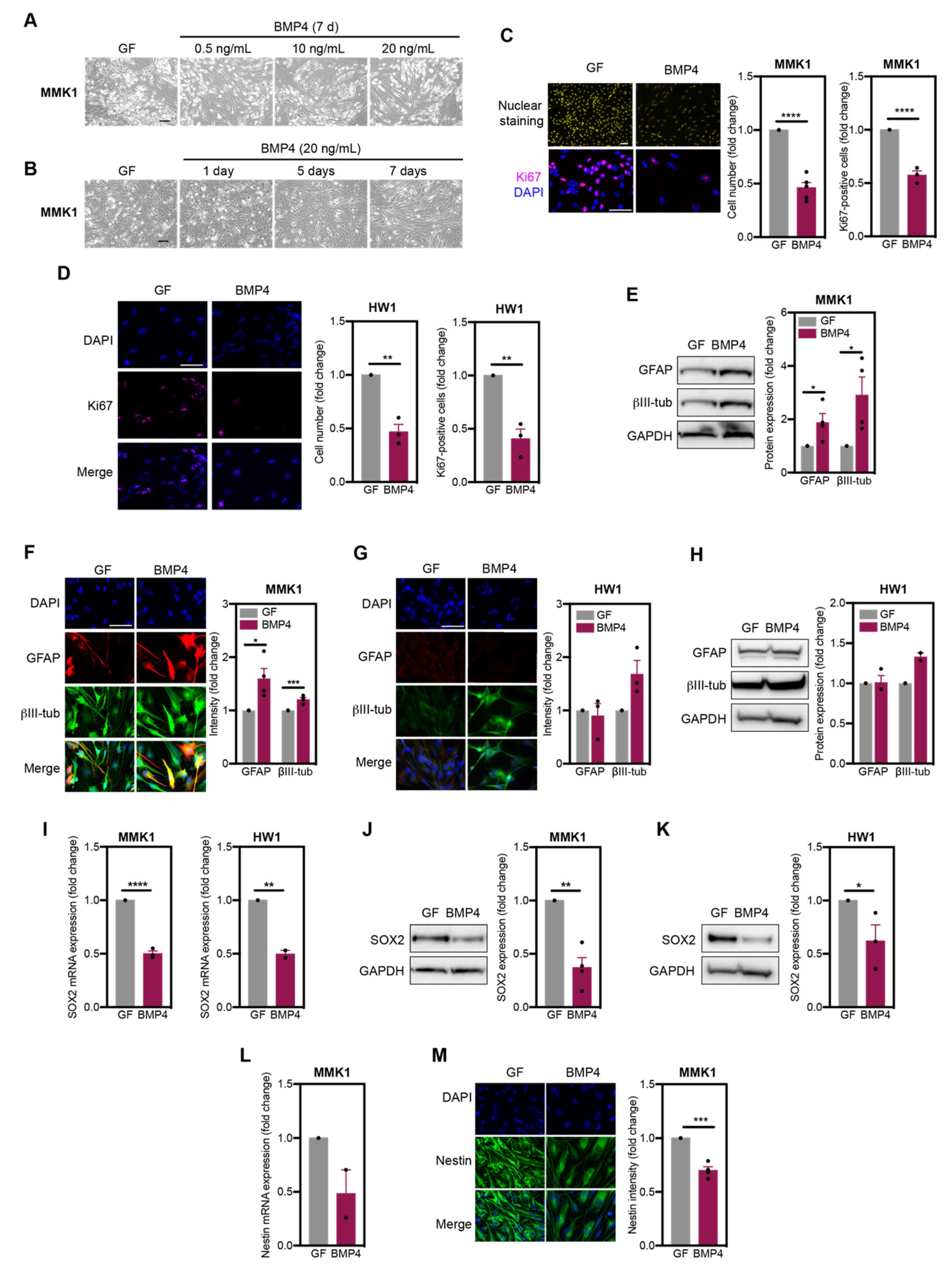 Ijms 22 04011 g001 Ijms 22 04011 g001