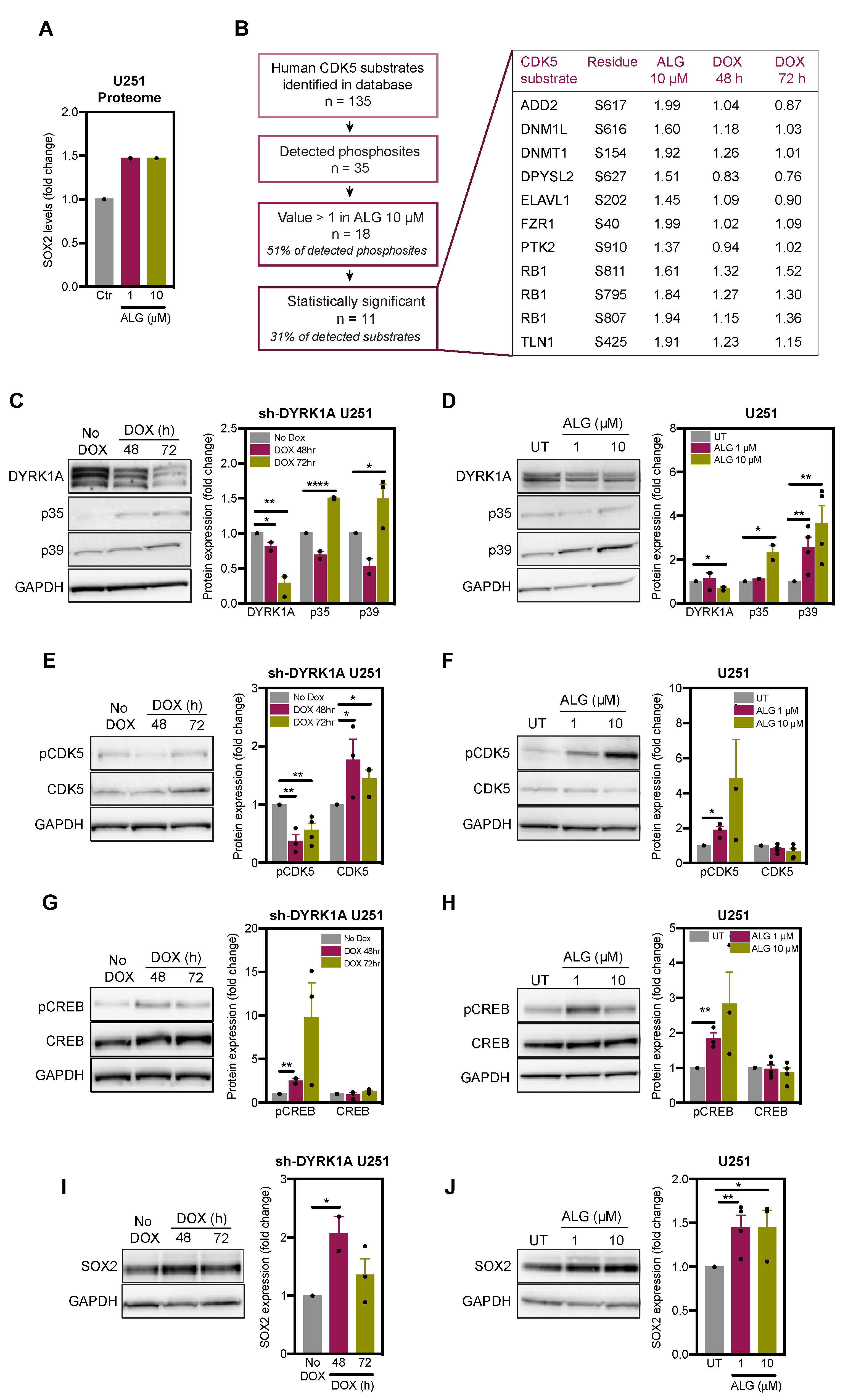 Ijms 22 04011 g003 Ijms 22 04011 g003