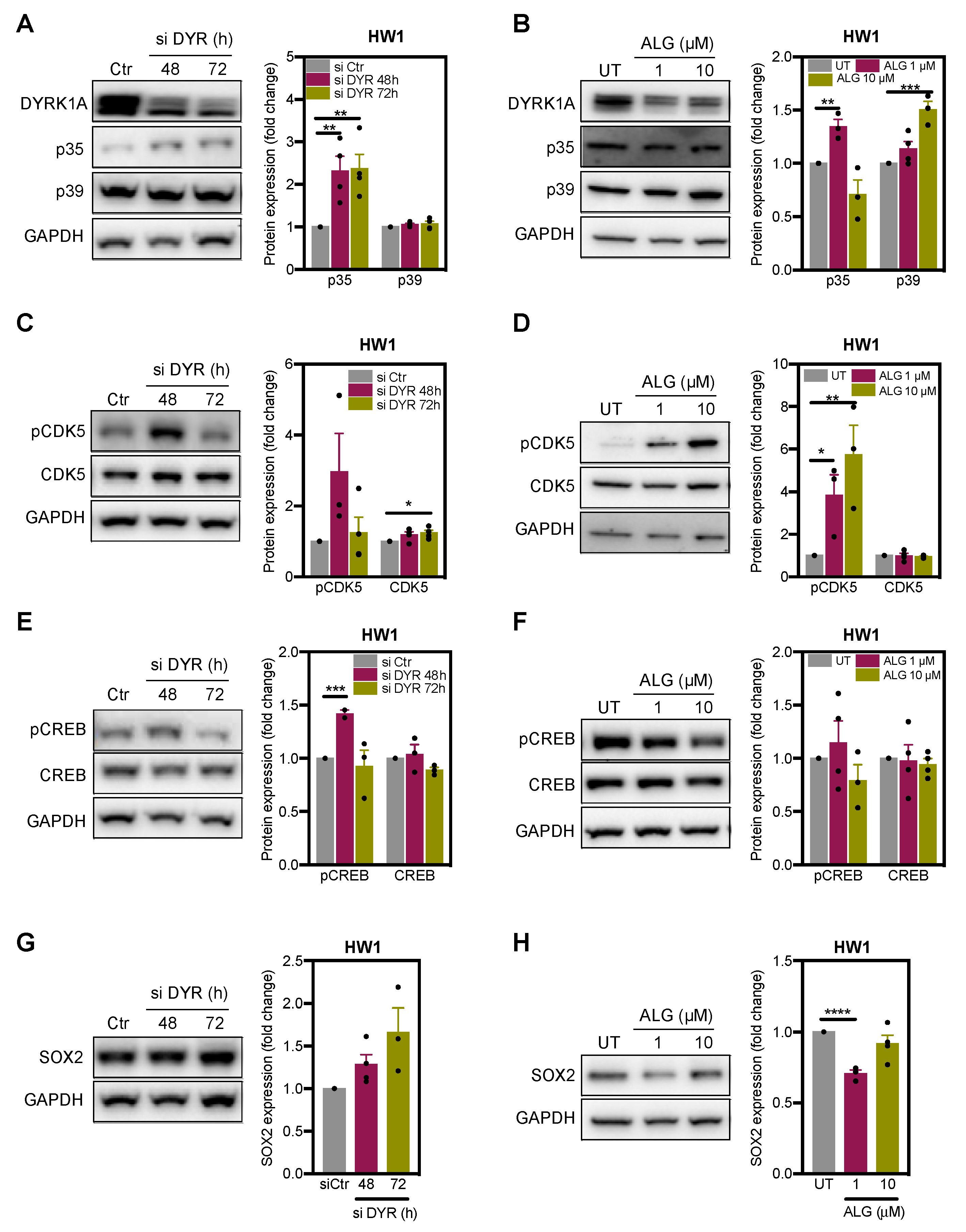 Ijms 22 04011 g004 Ijms 22 04011 g004
