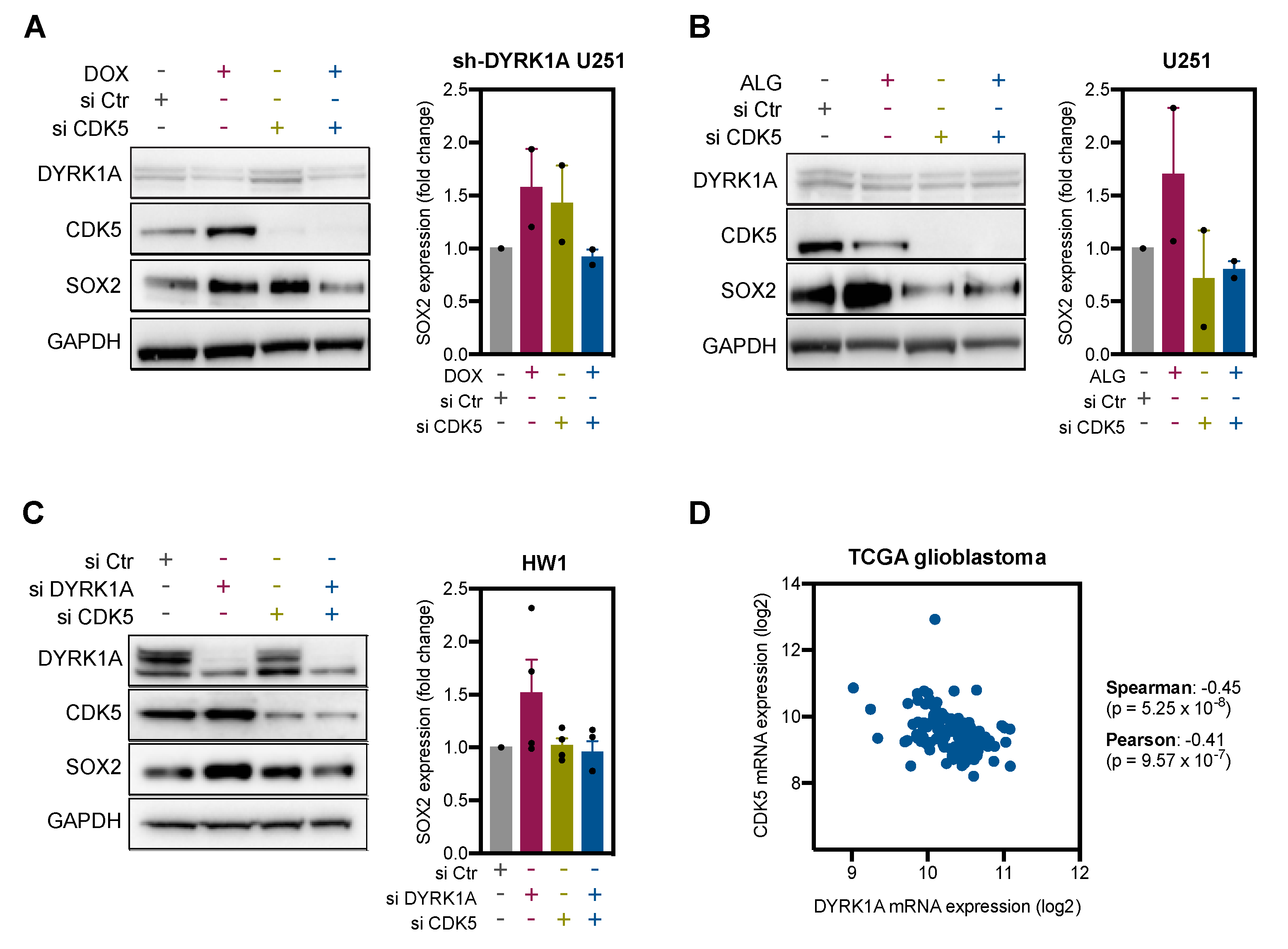Ijms 22 04011 g005 Ijms 22 04011 g005