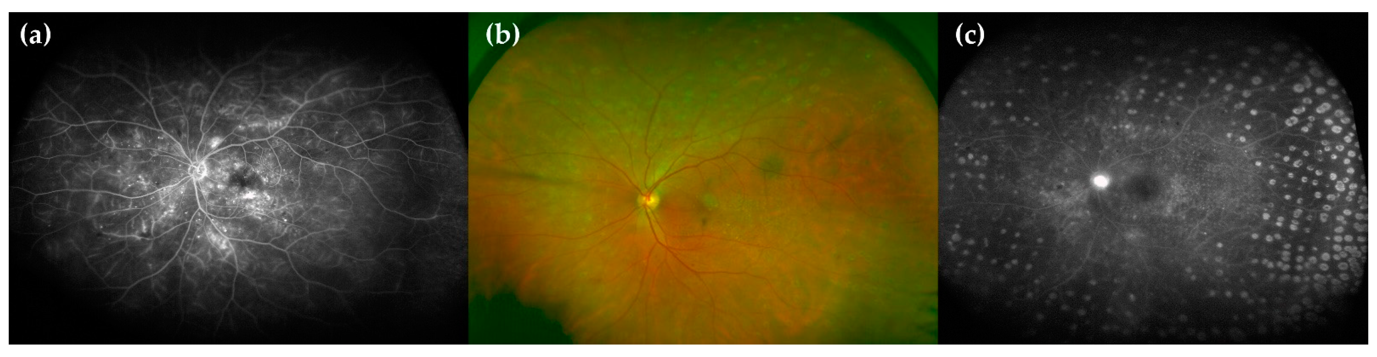 Ijms 22 04020 g005 Ijms 22 04020 g005