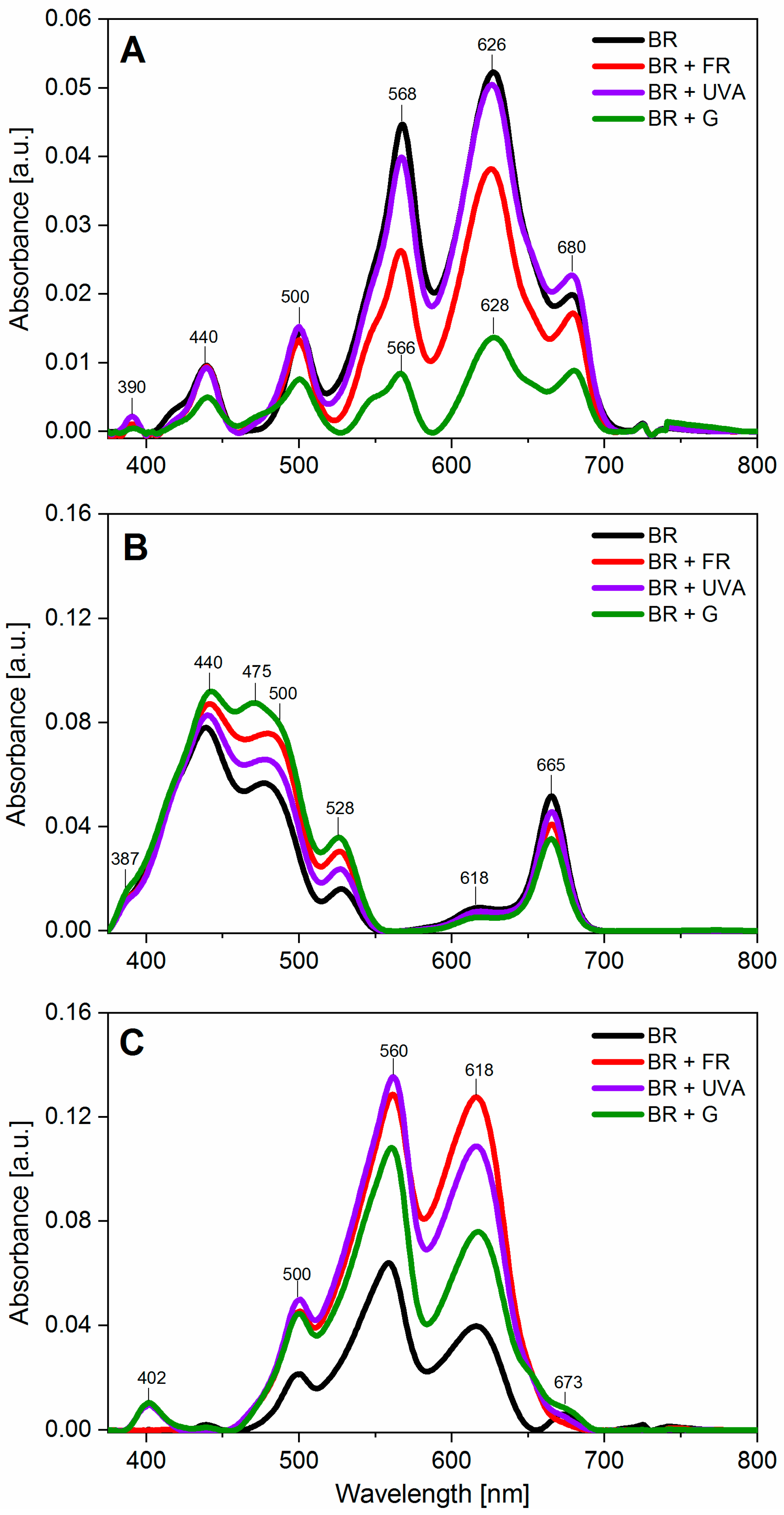 Ijms 22 04021 g003 Ijms 22 04021 g003