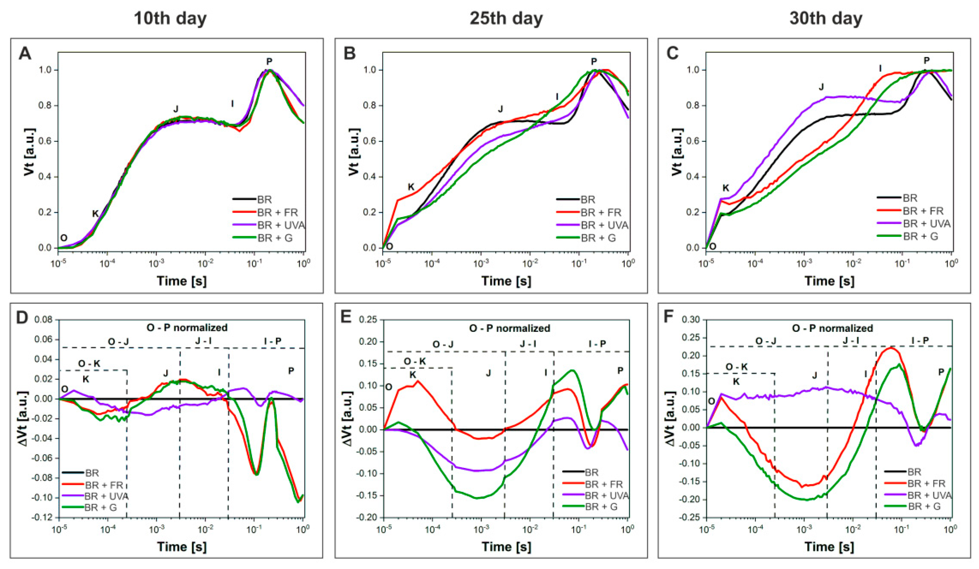 Ijms 22 04021 g005 Ijms 22 04021 g005