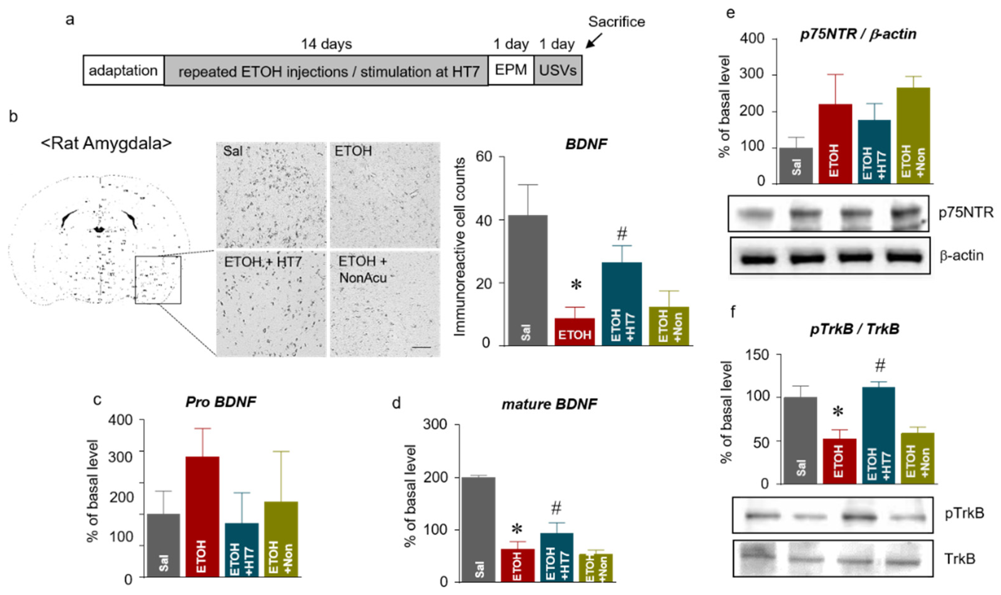 Ijms 22 04037 g005 Ijms 22 04037 g005