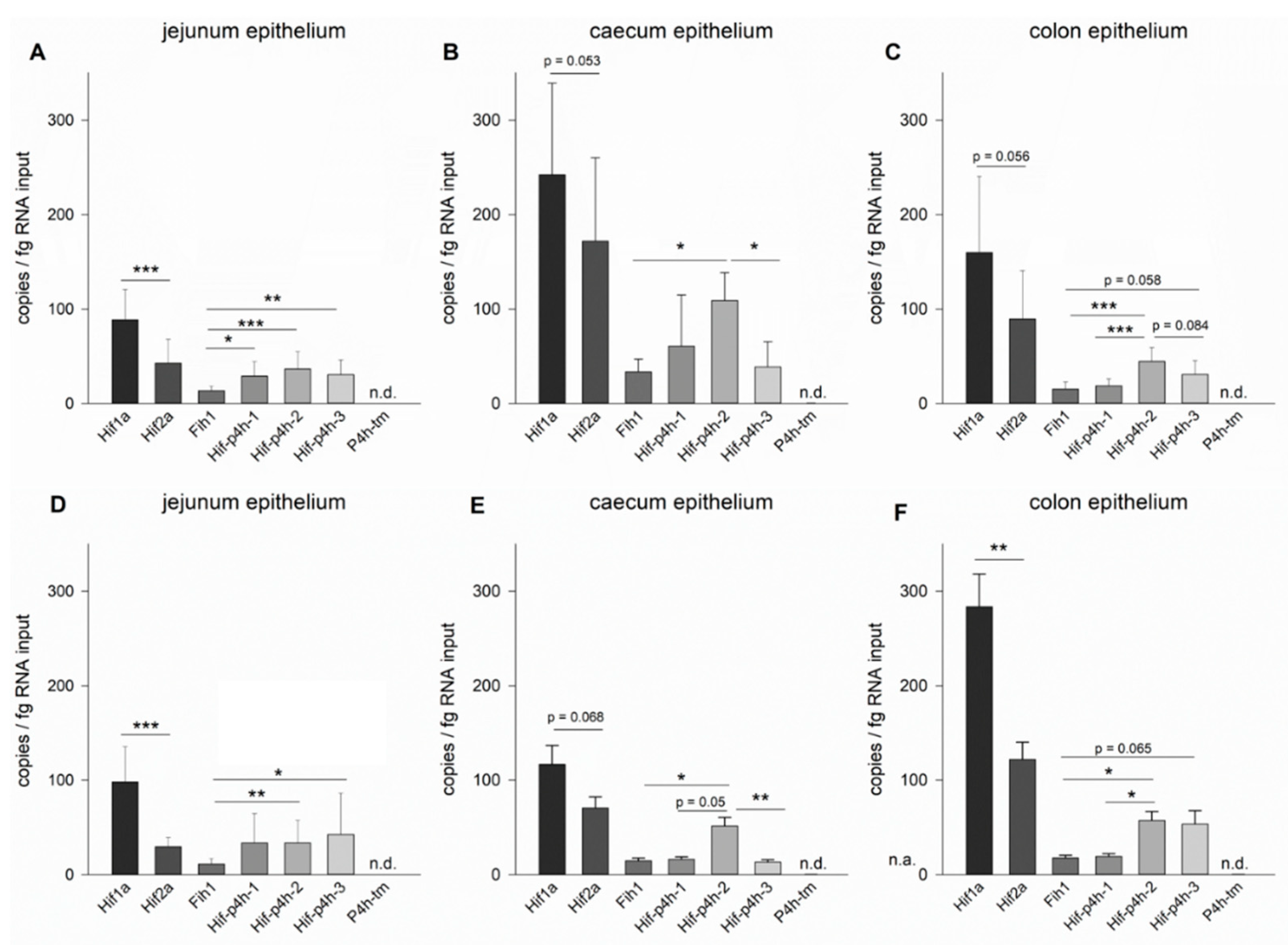 Ijms 22 04038 g001 Ijms 22 04038 g001