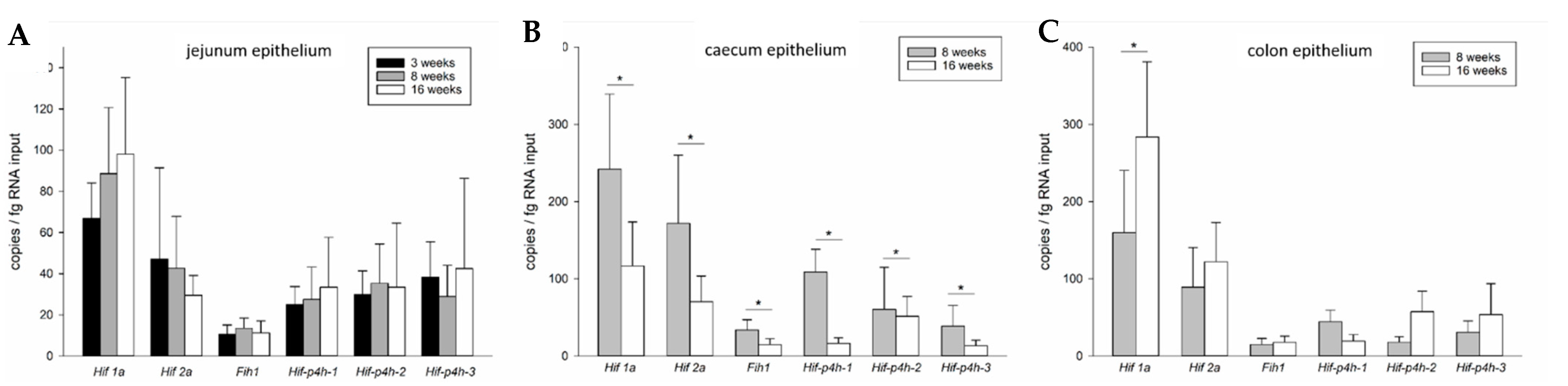 Ijms 22 04038 g002 Ijms 22 04038 g002