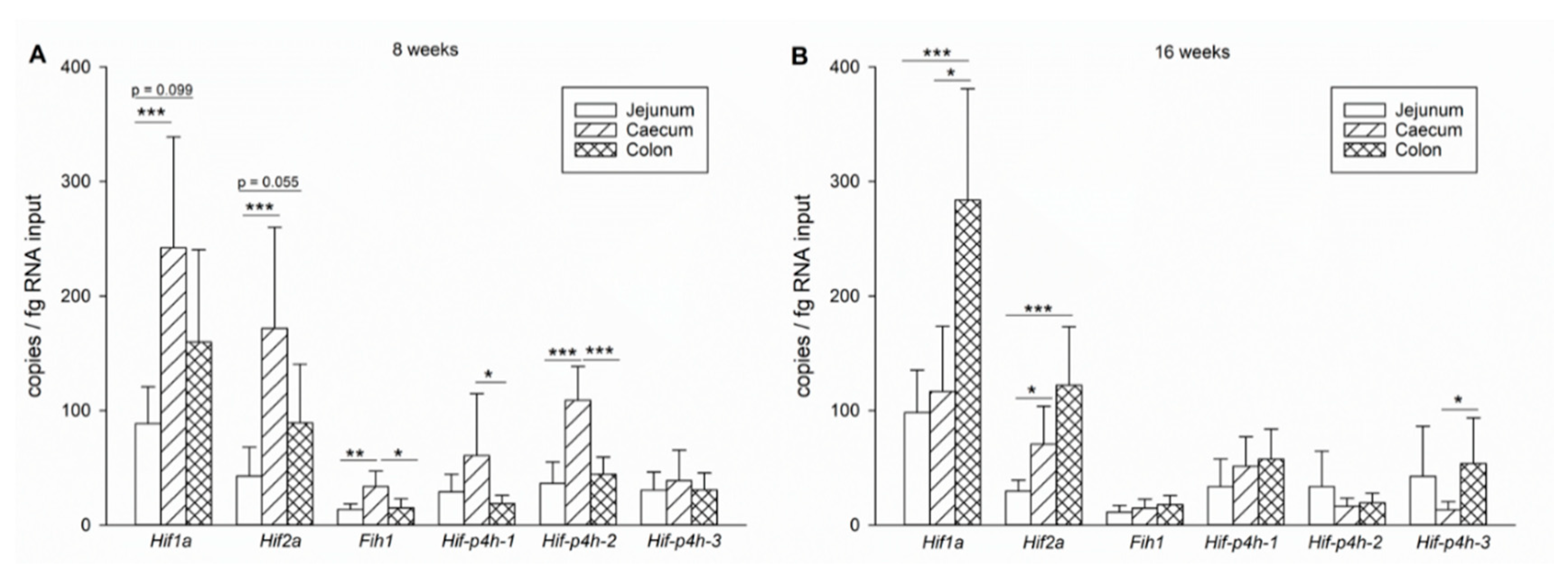 Ijms 22 04038 g003 Ijms 22 04038 g003