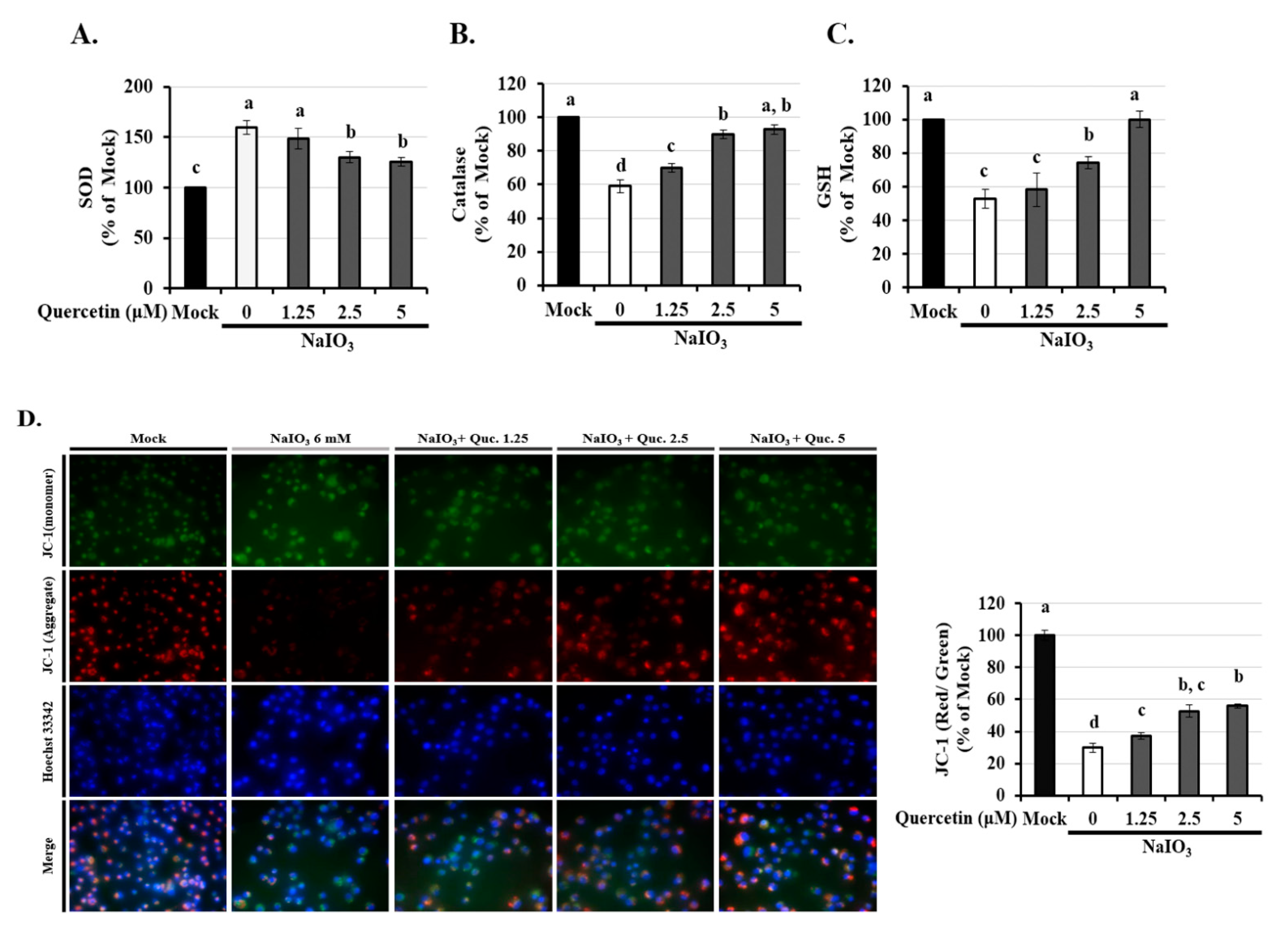 Ijms 22 04056 g003 Ijms 22 04056 g003