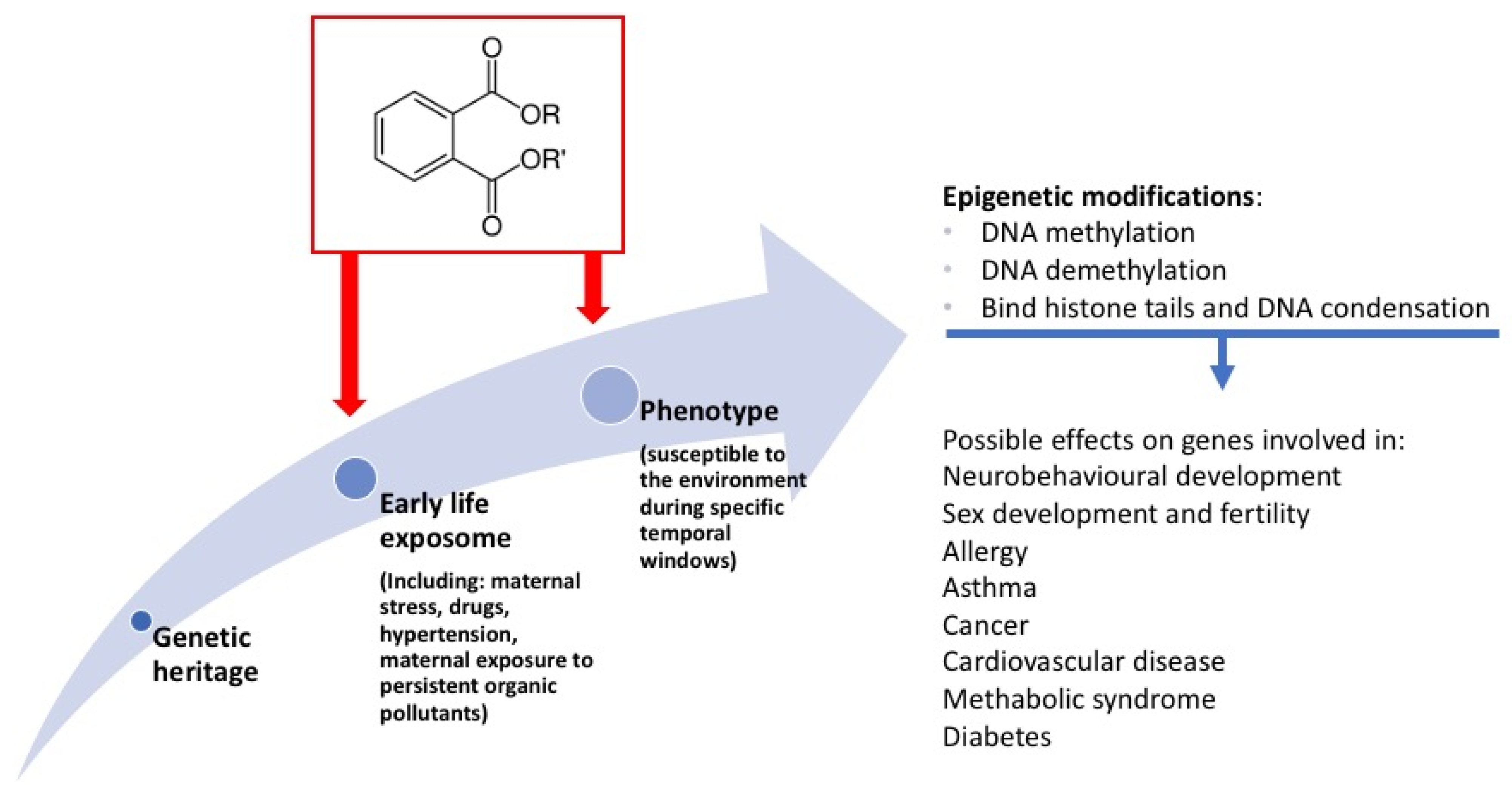 Ijms 22 04063 g001 Ijms 22 04063 g001