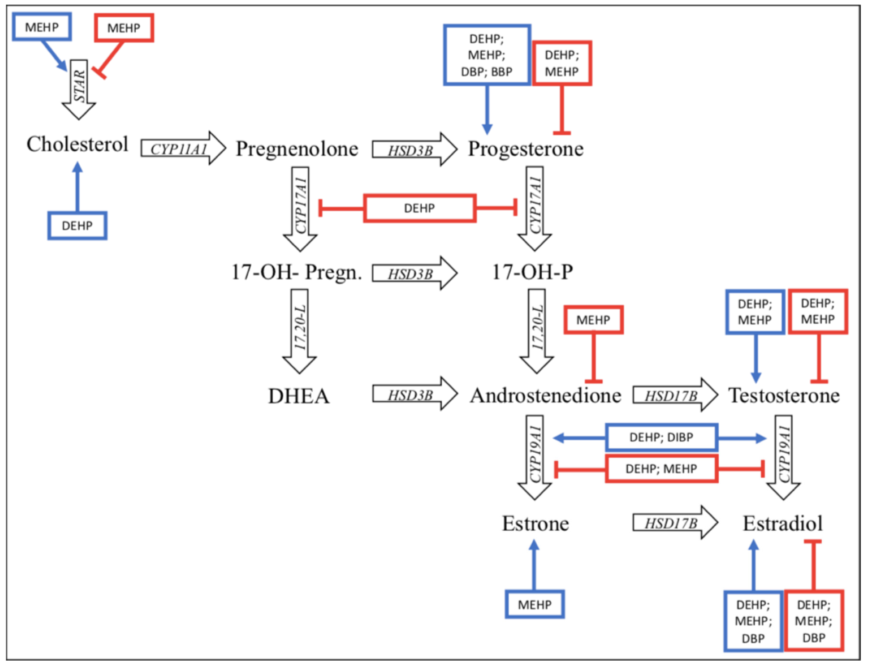 Ijms 22 04063 g002 Ijms 22 04063 g002