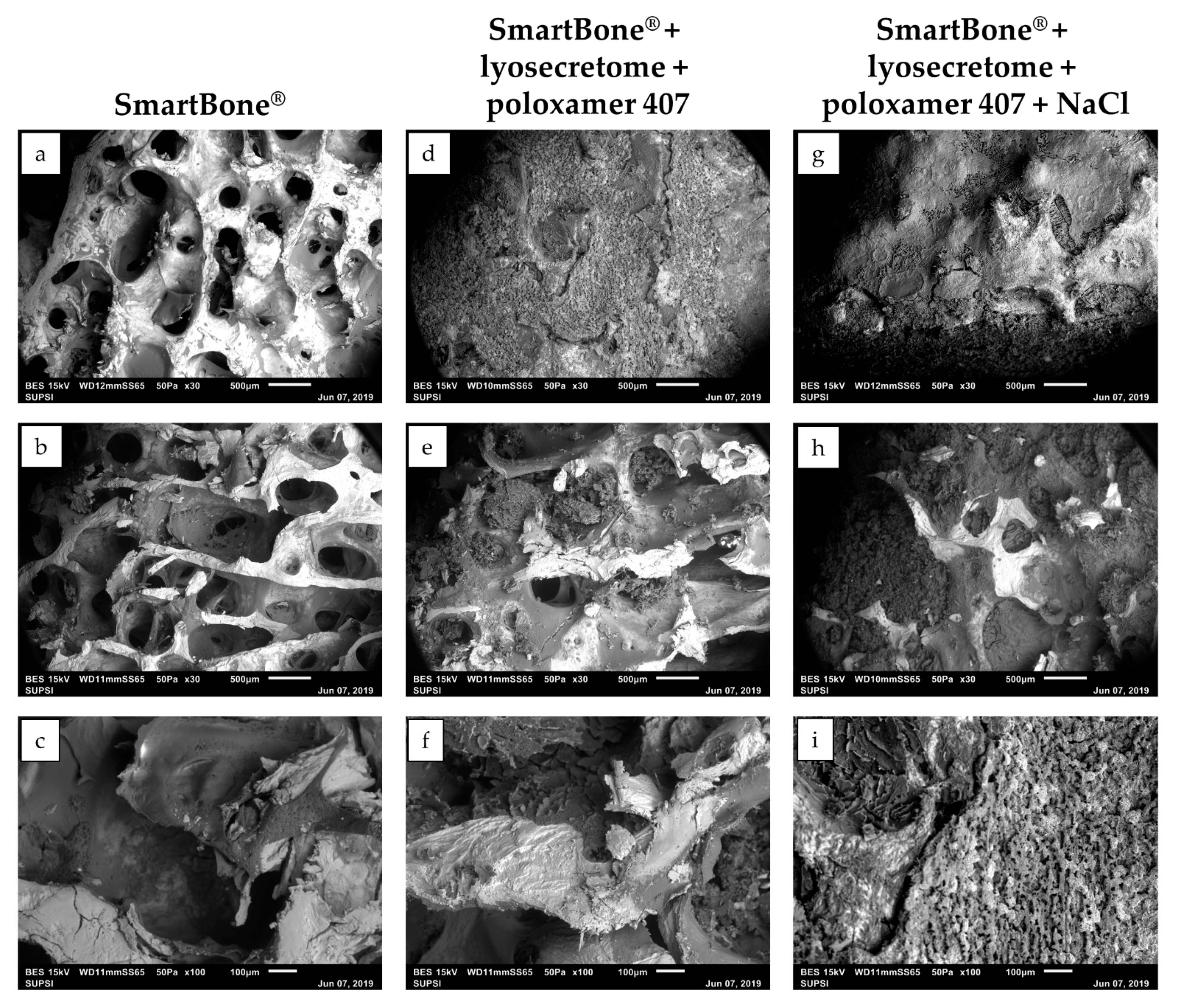 Ijms 22 04064 g001 Ijms 22 04064 g001