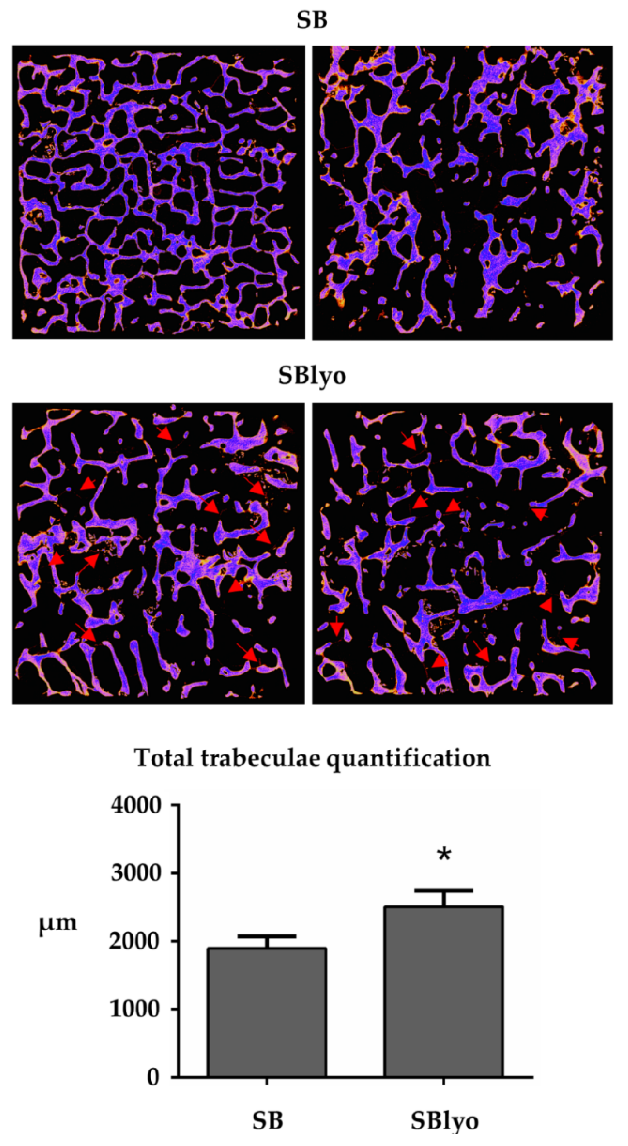 Ijms 22 04064 g008 Ijms 22 04064 g008