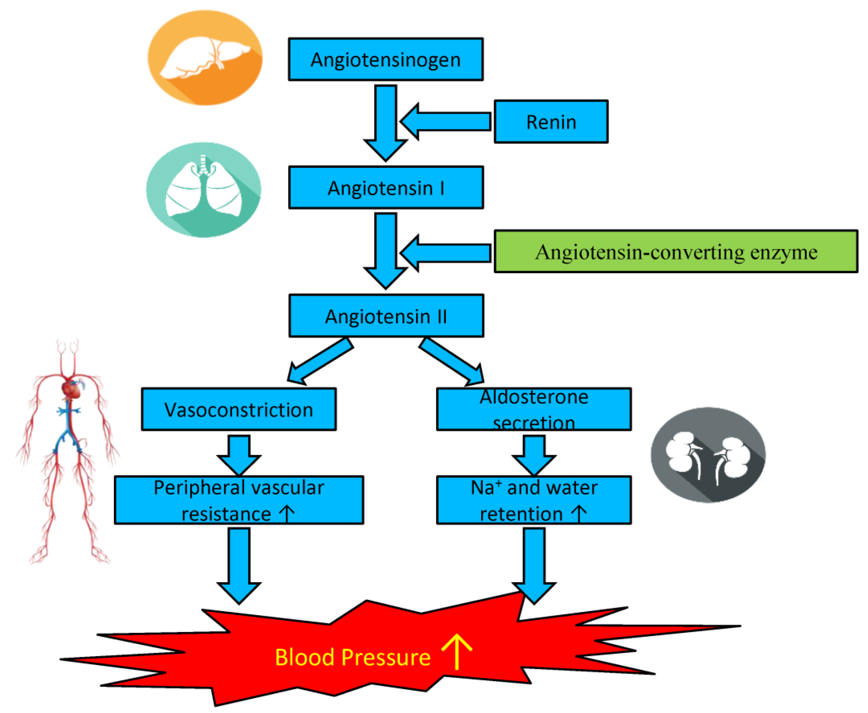 Hypertension Causes And Effects