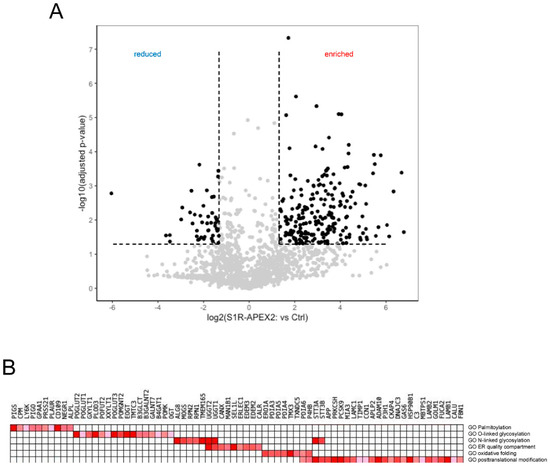 Ijms Free Full Text Sigma 1 Receptor S1r Interaction With Cholesterol Mechanisms Of S1r Activation And Its Role In Neurodegenerative Diseases Html