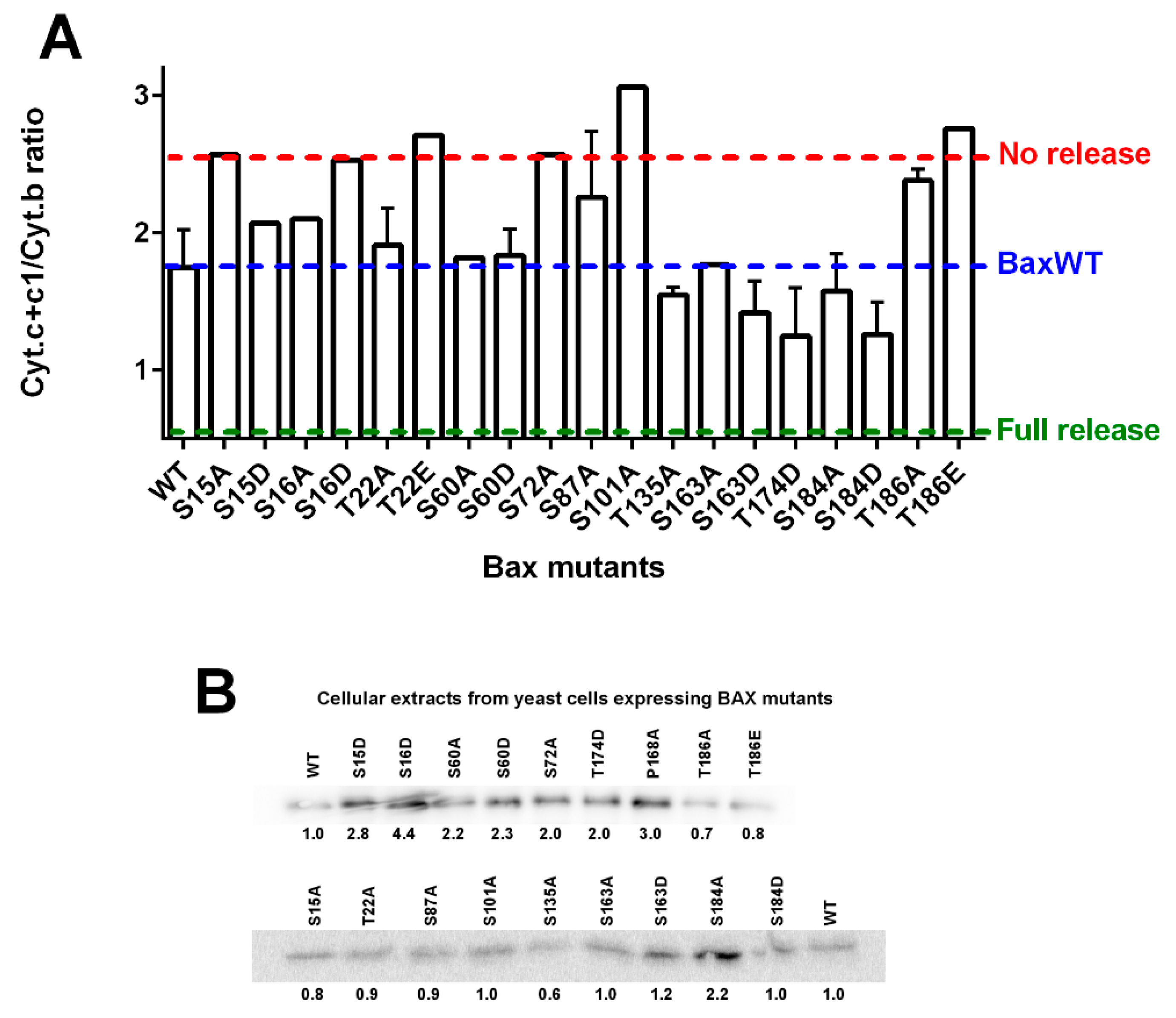 Ijms 22 04086 g003 Ijms 22 04086 g003