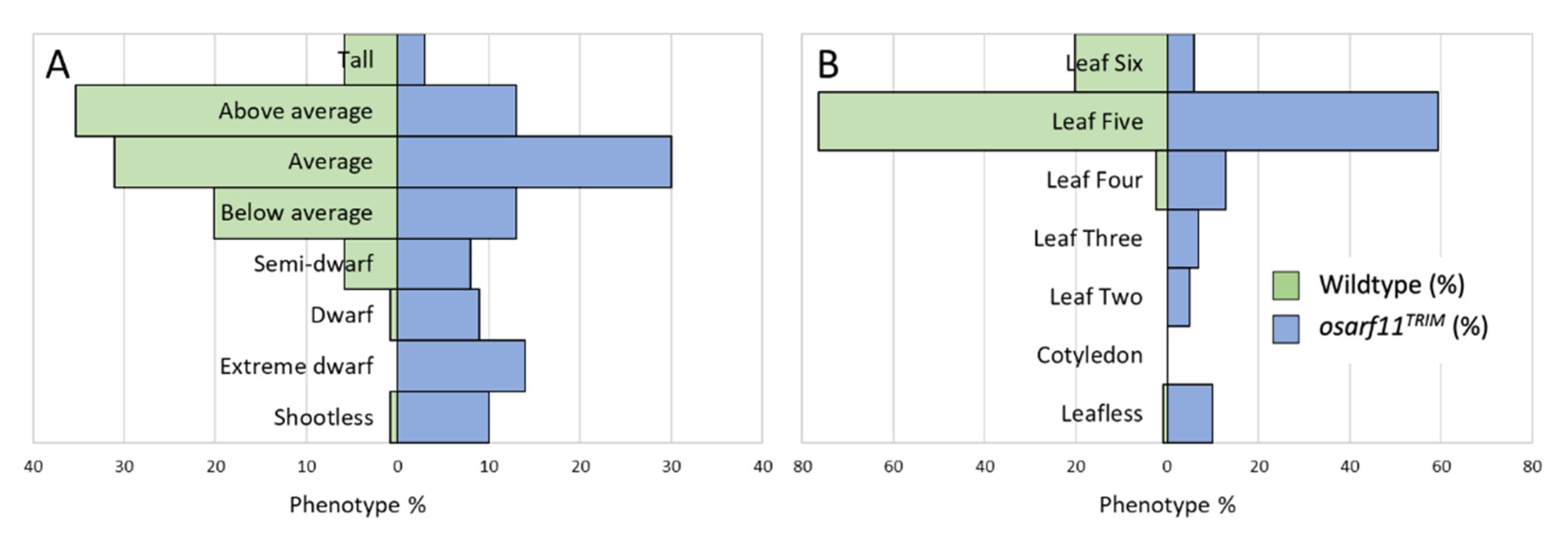 Ijms 22 04089 g002 Ijms 22 04089 g002