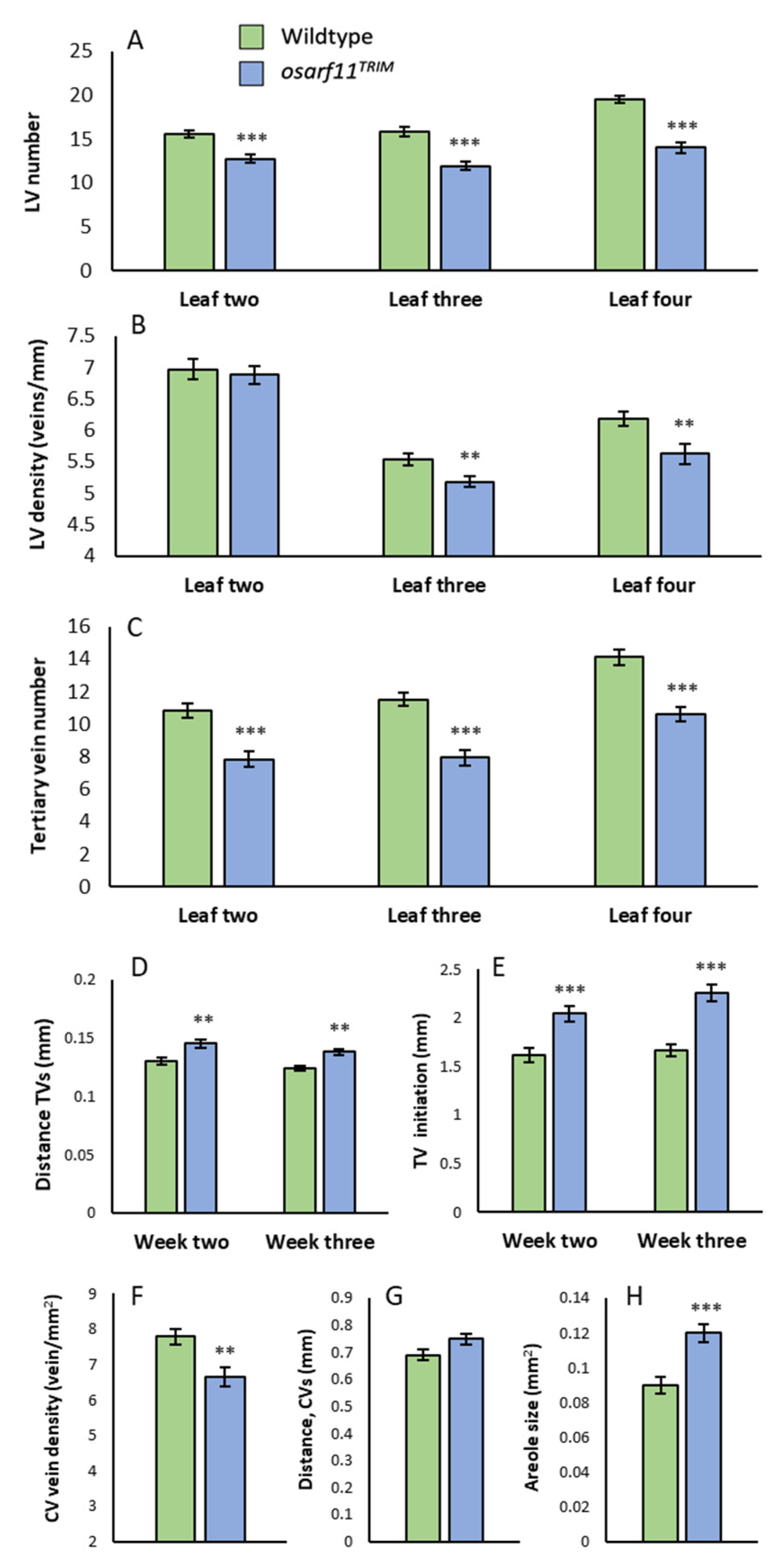 Ijms 22 04089 g004 Ijms 22 04089 g004