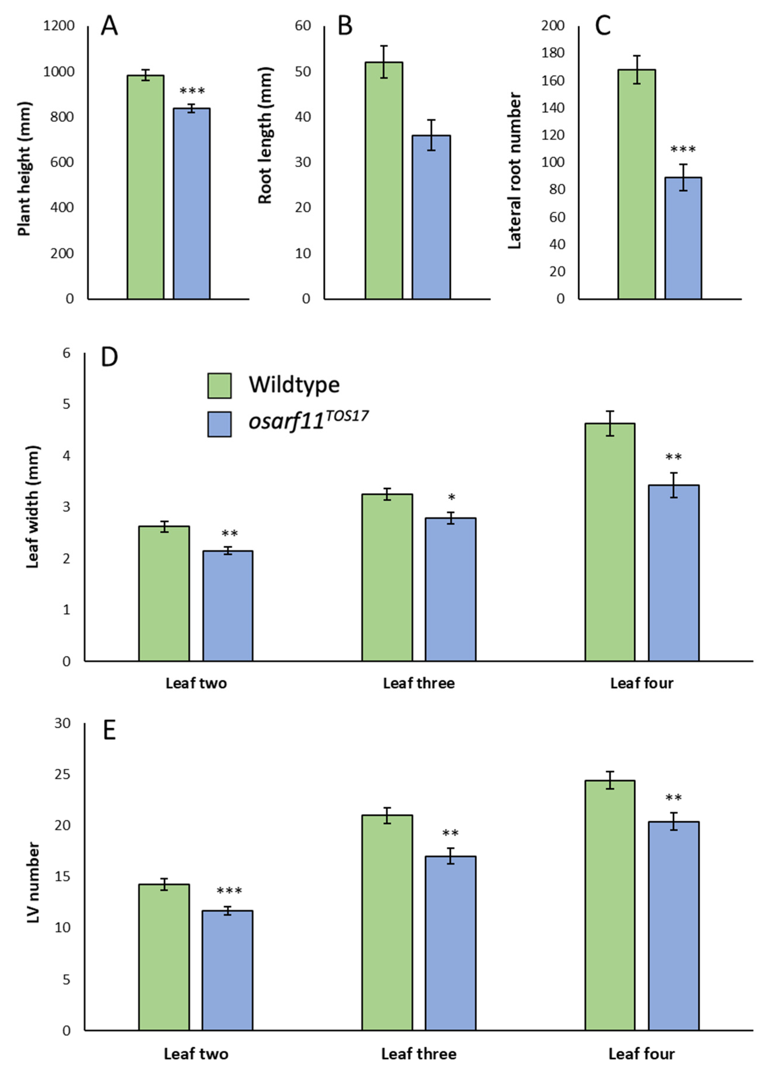 Ijms 22 04089 g005 Ijms 22 04089 g005