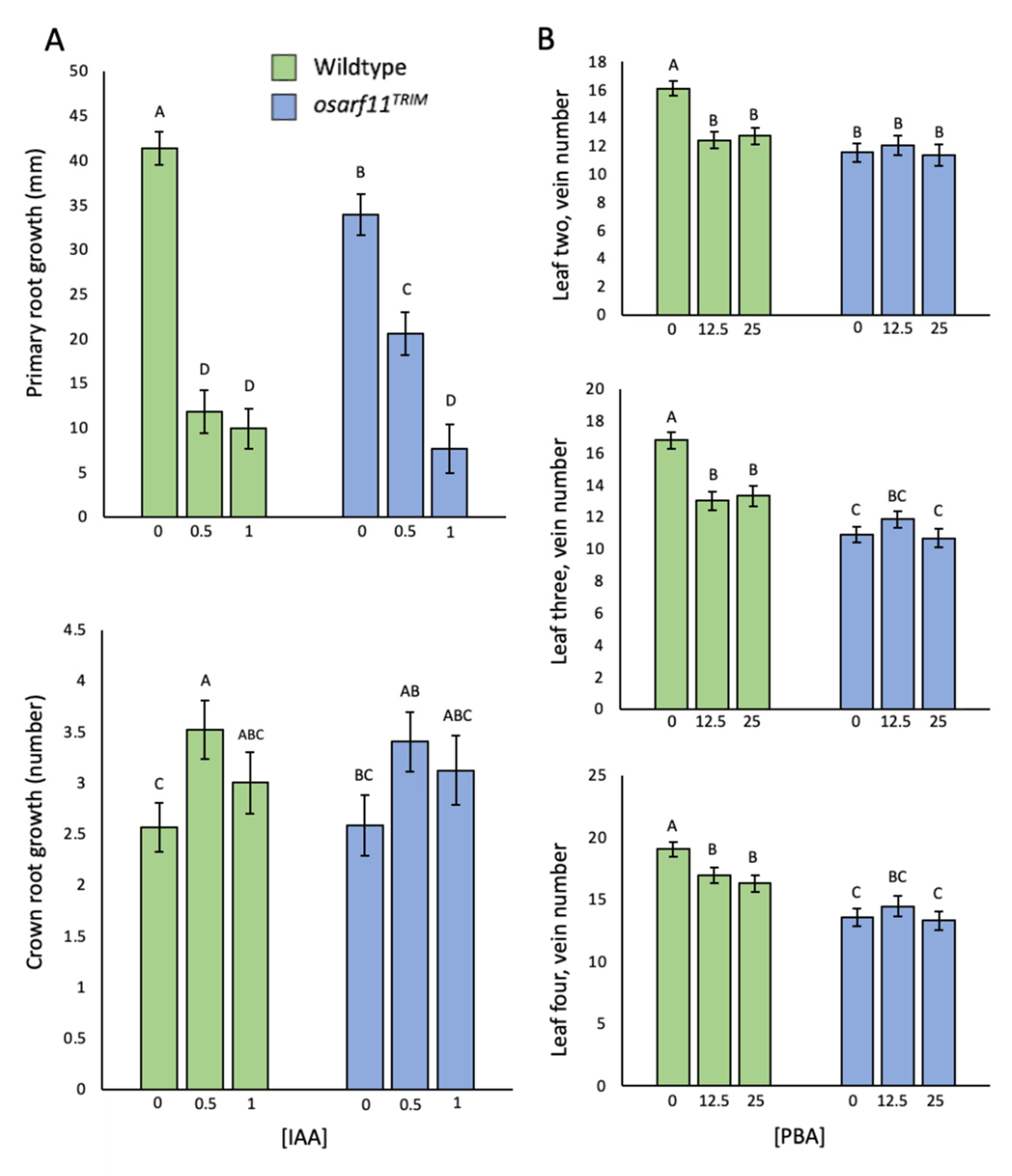 Ijms 22 04089 g007 Ijms 22 04089 g007