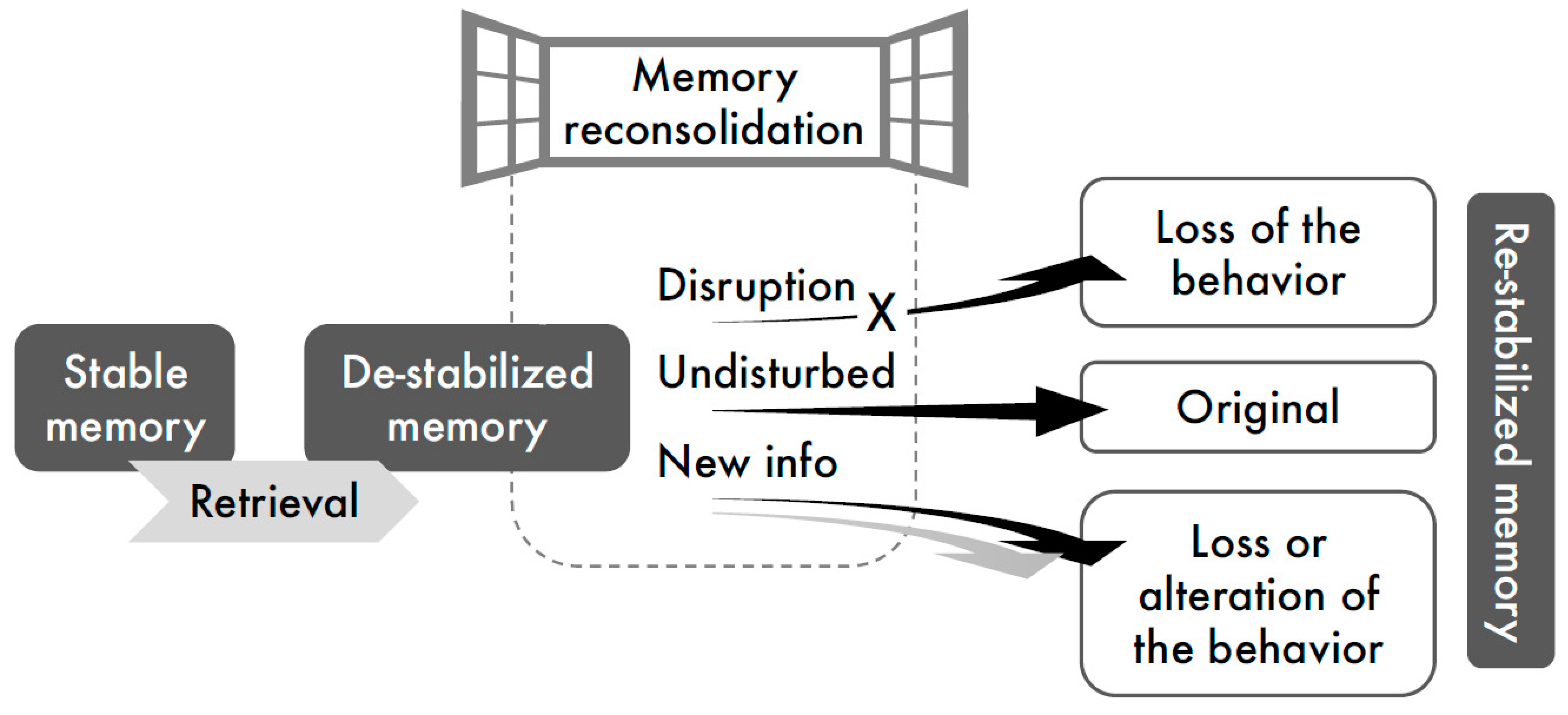 Como hacer la memoria de un proyecto